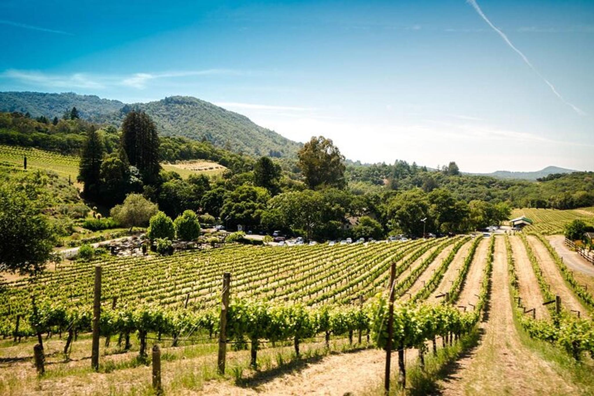 Sonoma Self-Guided Tasting Tour - Image 3