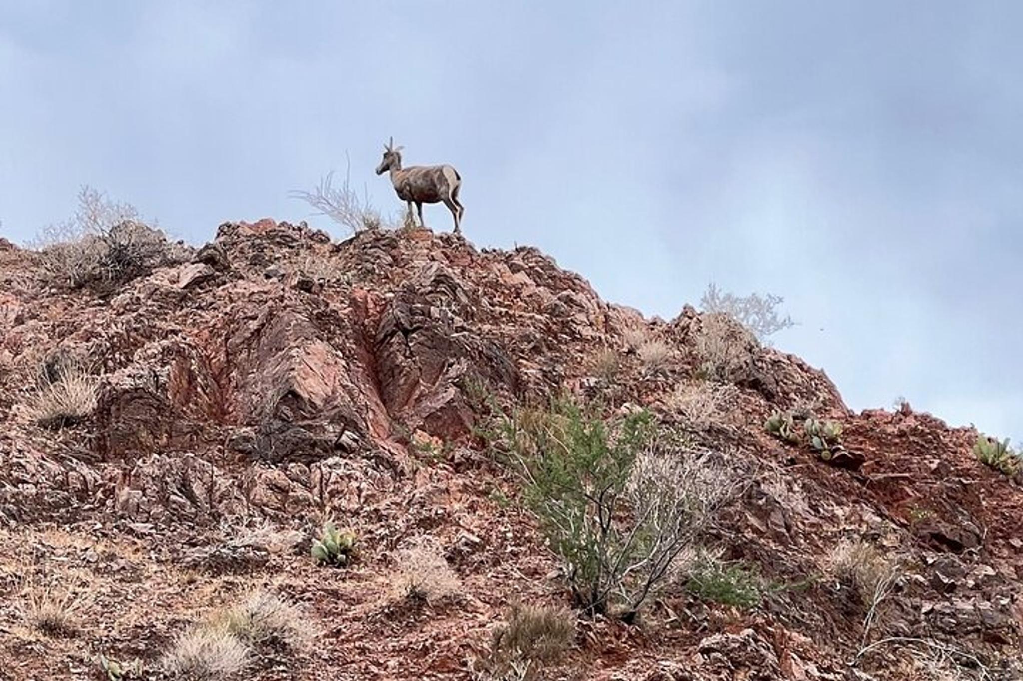 Hoover Dam Raft Tour with Swim in Black Canyon - Image 5