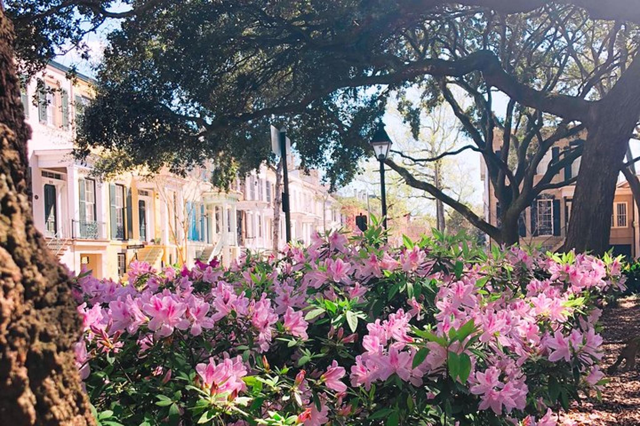 Savannah History Walking Tour - Image 5