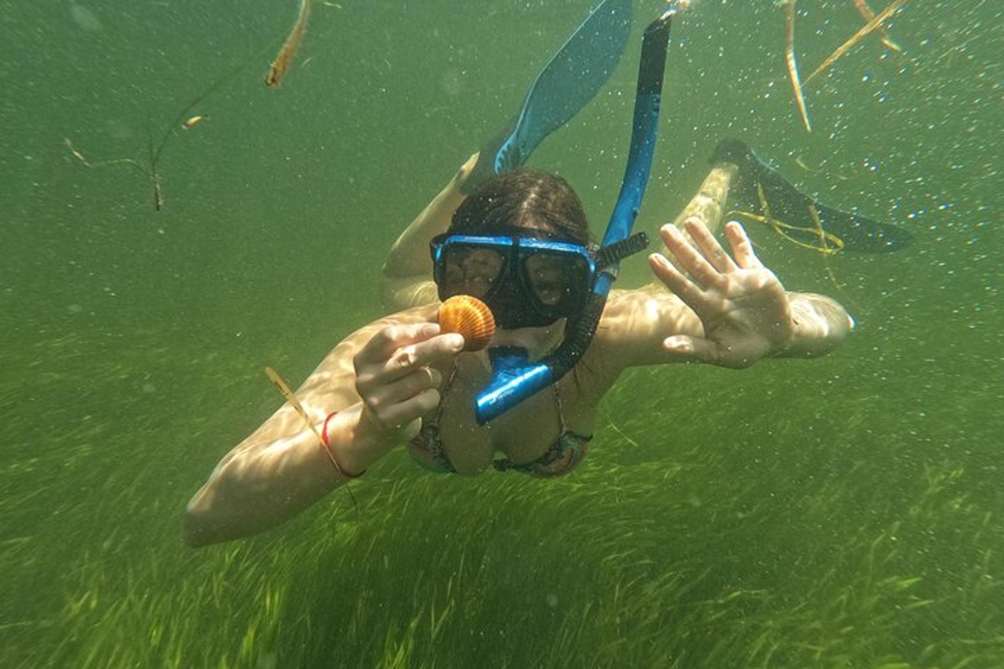 Crystal River Private Scalloping Adventure - Image 6