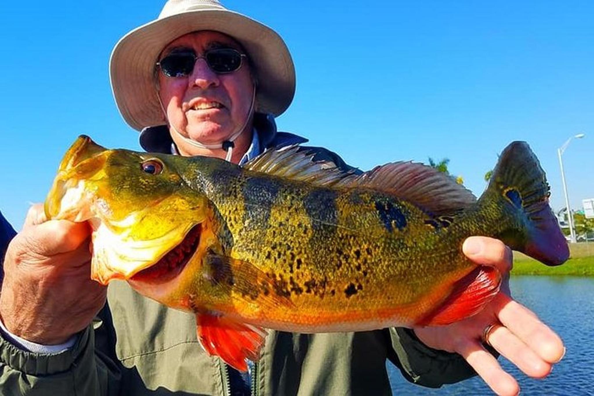Boynton Beach Peacock Bass Fishing Trip - Image 5