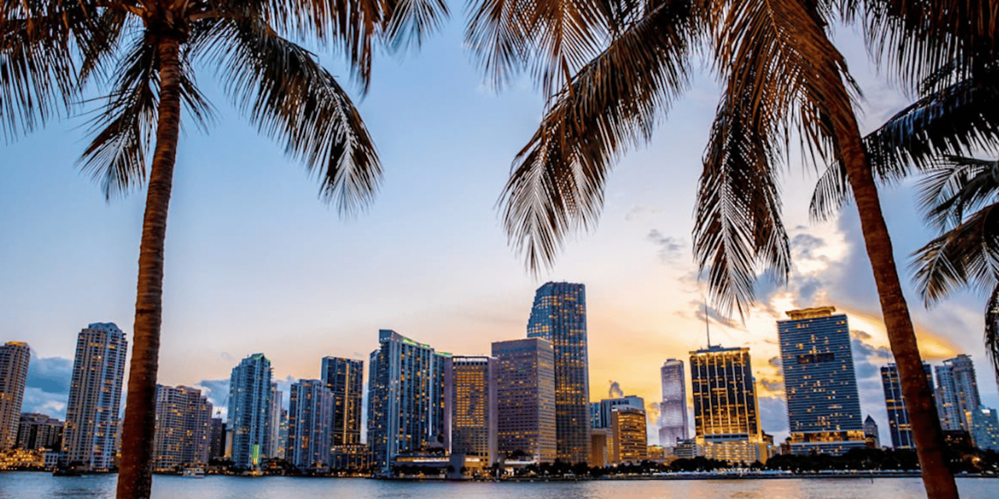Miami Guided Tour with Cruise and Airport Transfer - Image 5