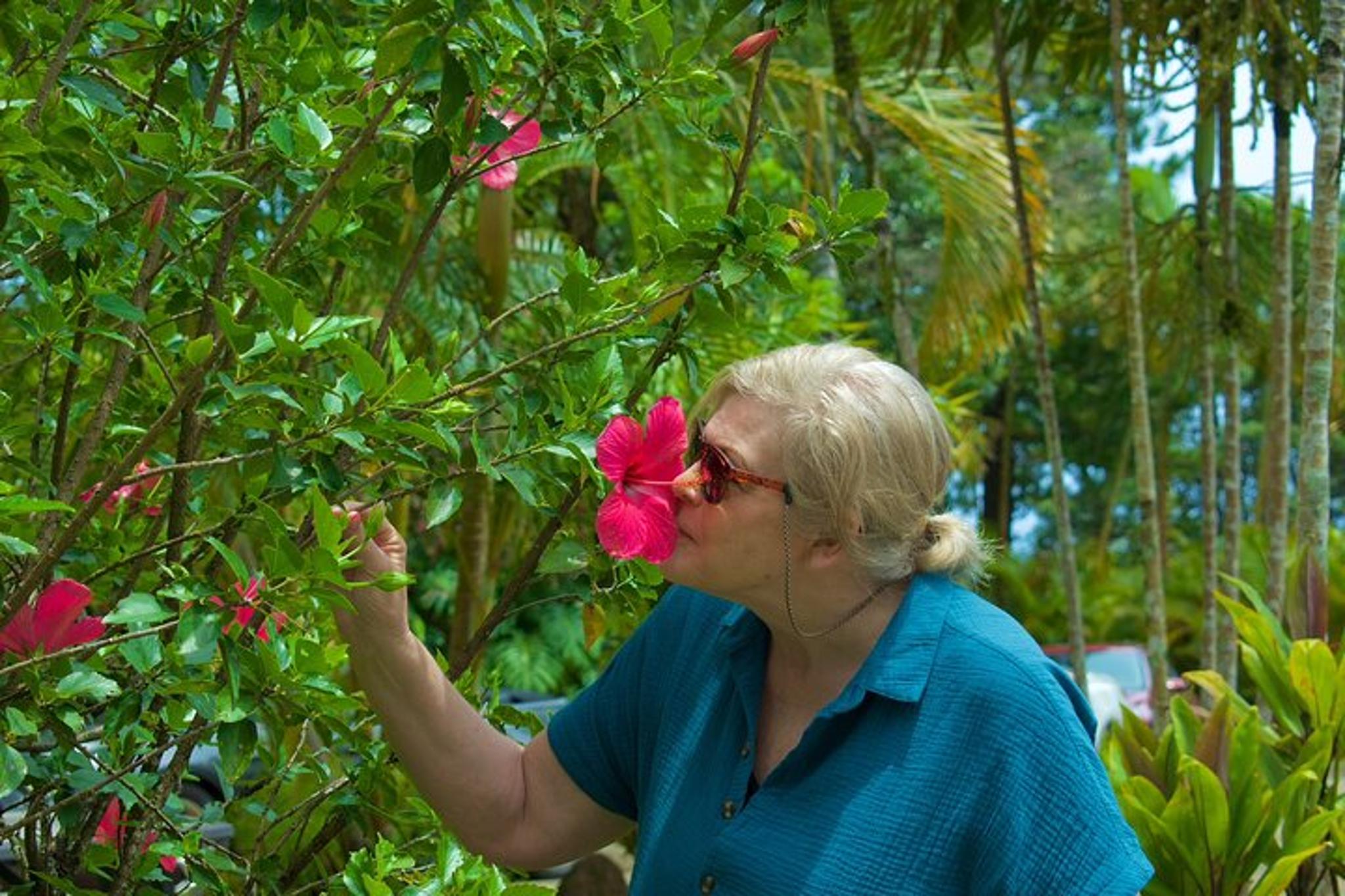 Maui Private Upcountry Tour - Image 4