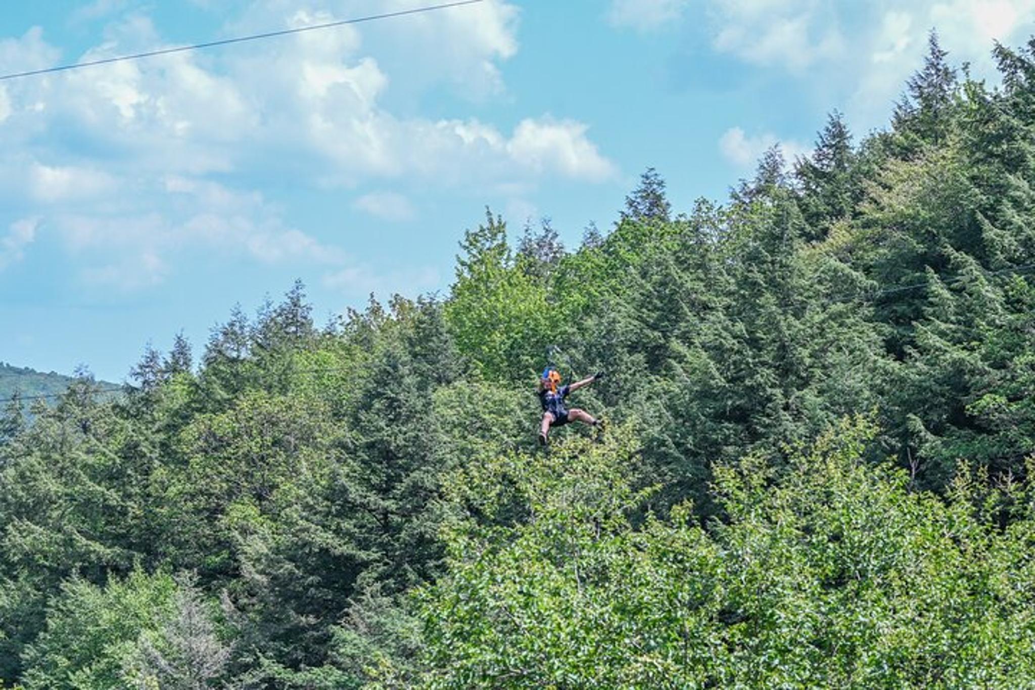 Bristol Zipline Canopy Activity 3 hr