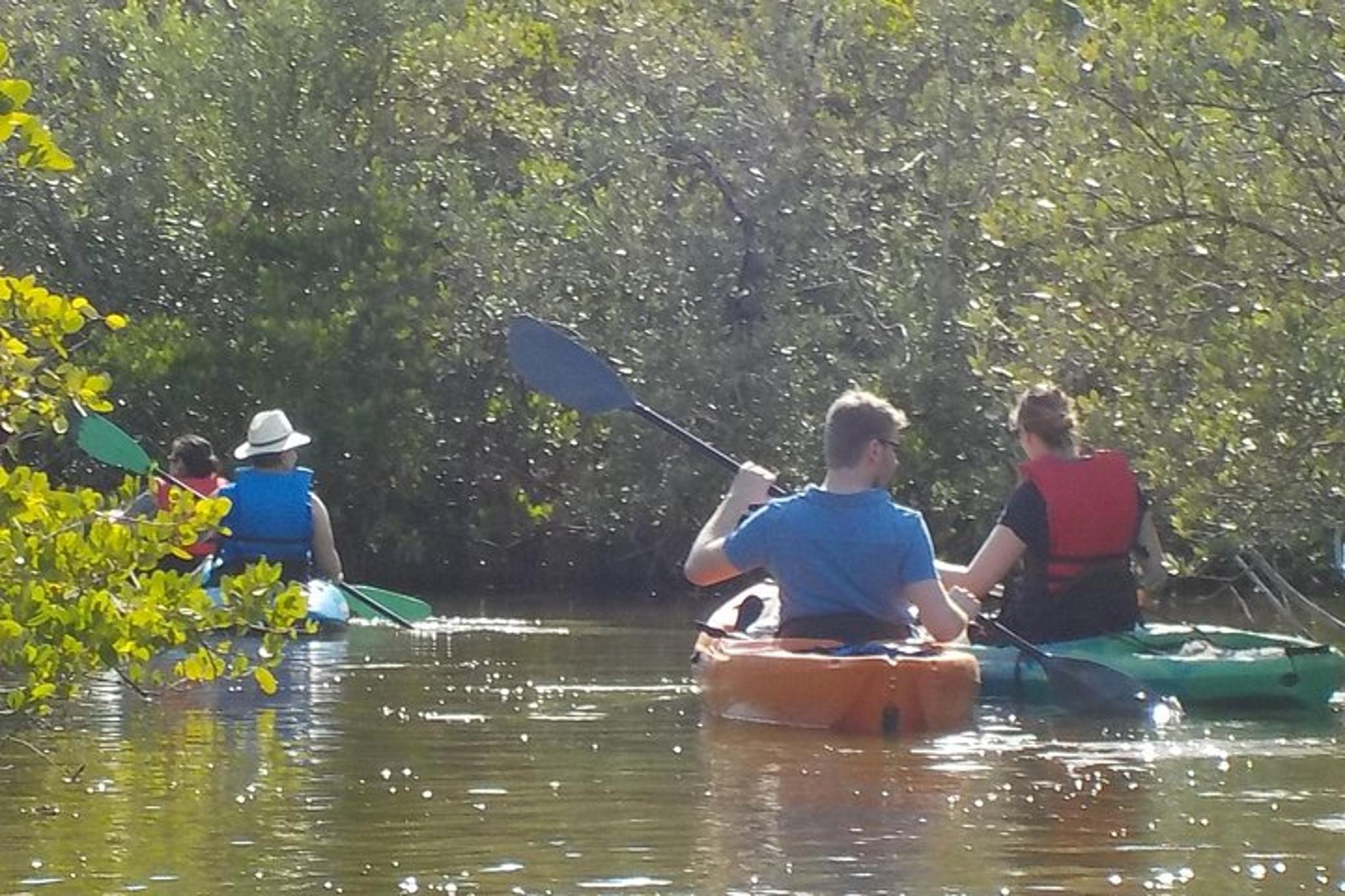 Cocoa Beach Kayaking Tour with Manatee and Dolphin - Image 6