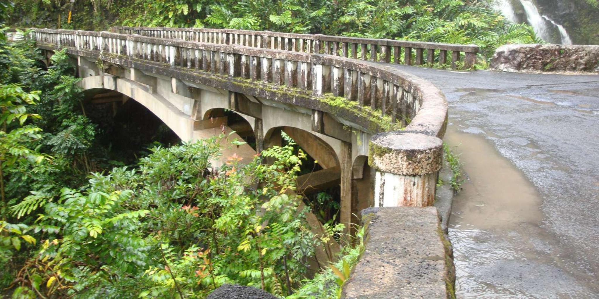 Maui Road to Hana Waterfalls Tour with Lunch - Image 2