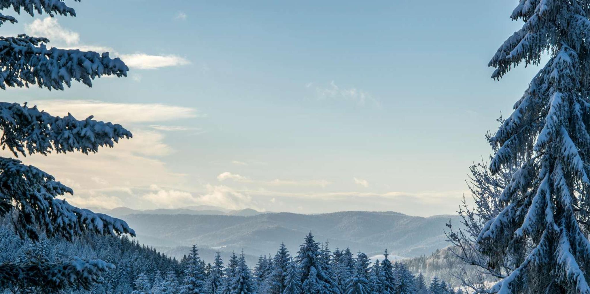 Fairbanks Northern Lights and Arctic Circle Tour - Image 5