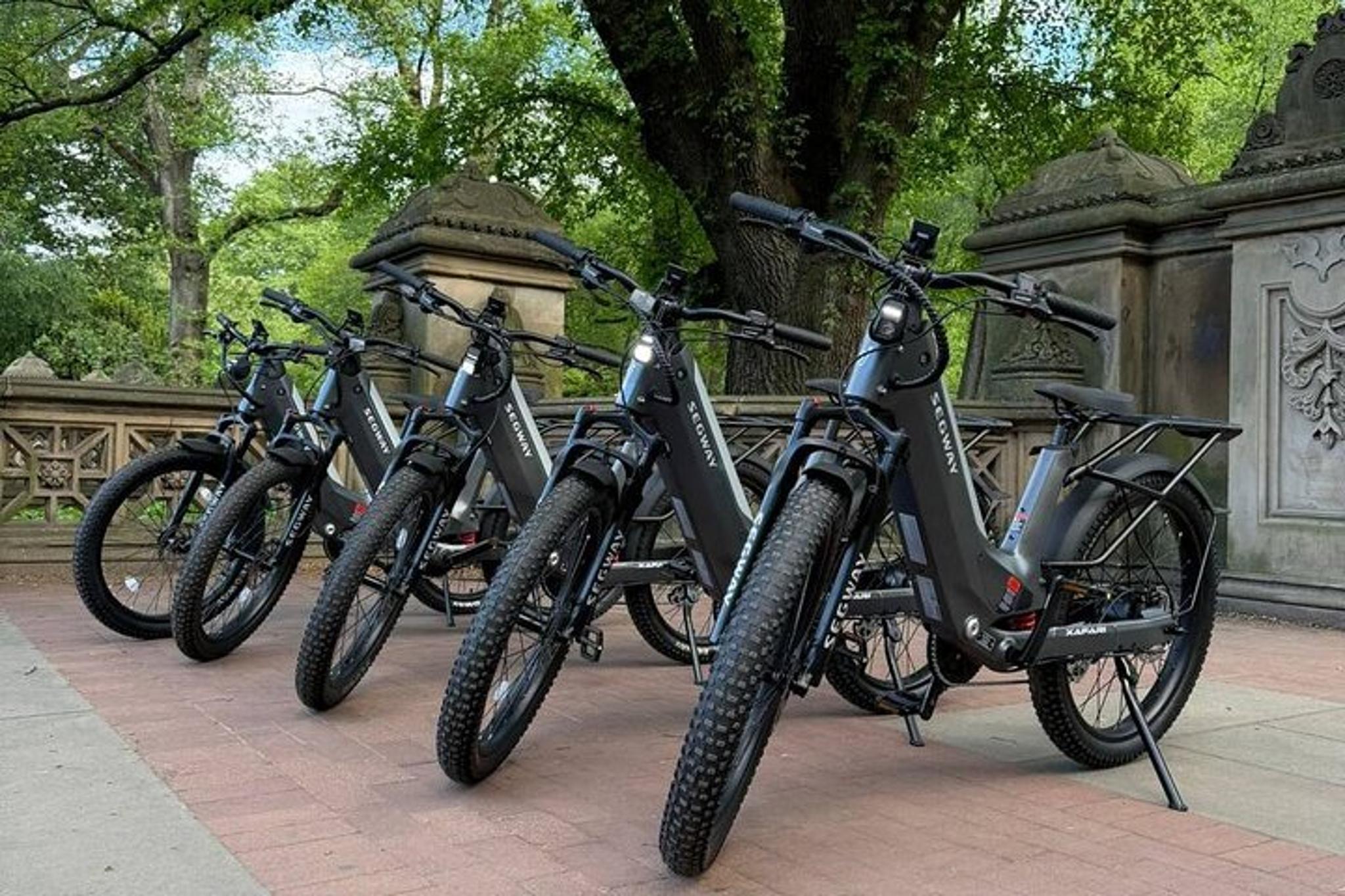 New York City Electric Bike Tour of Central Park - Image 5