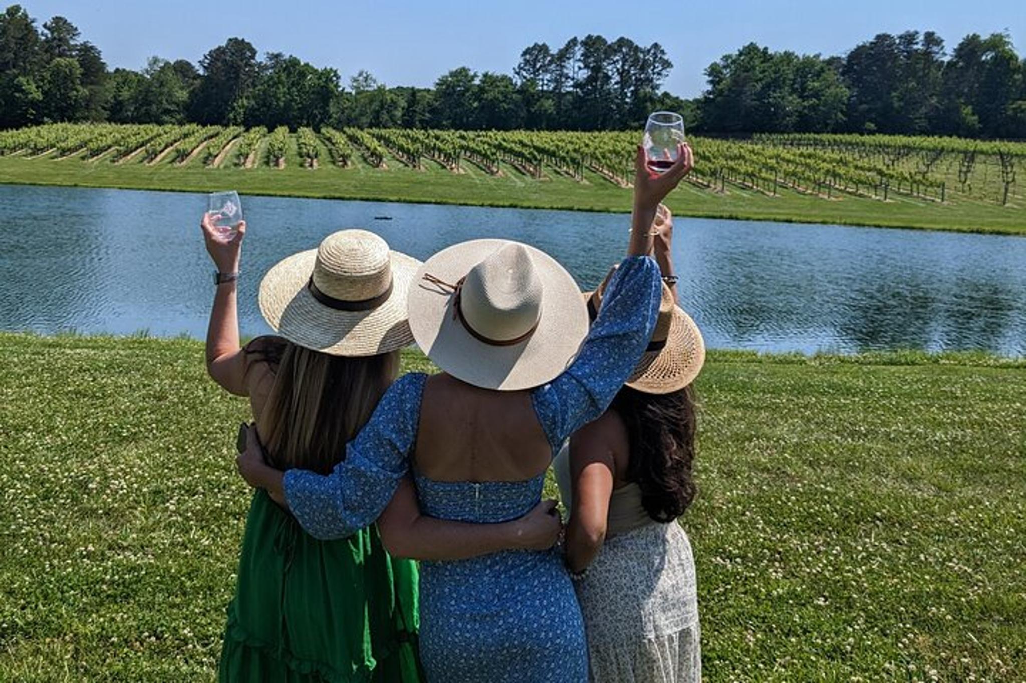 Yadkin Valley Vineyard Tour - Image 4