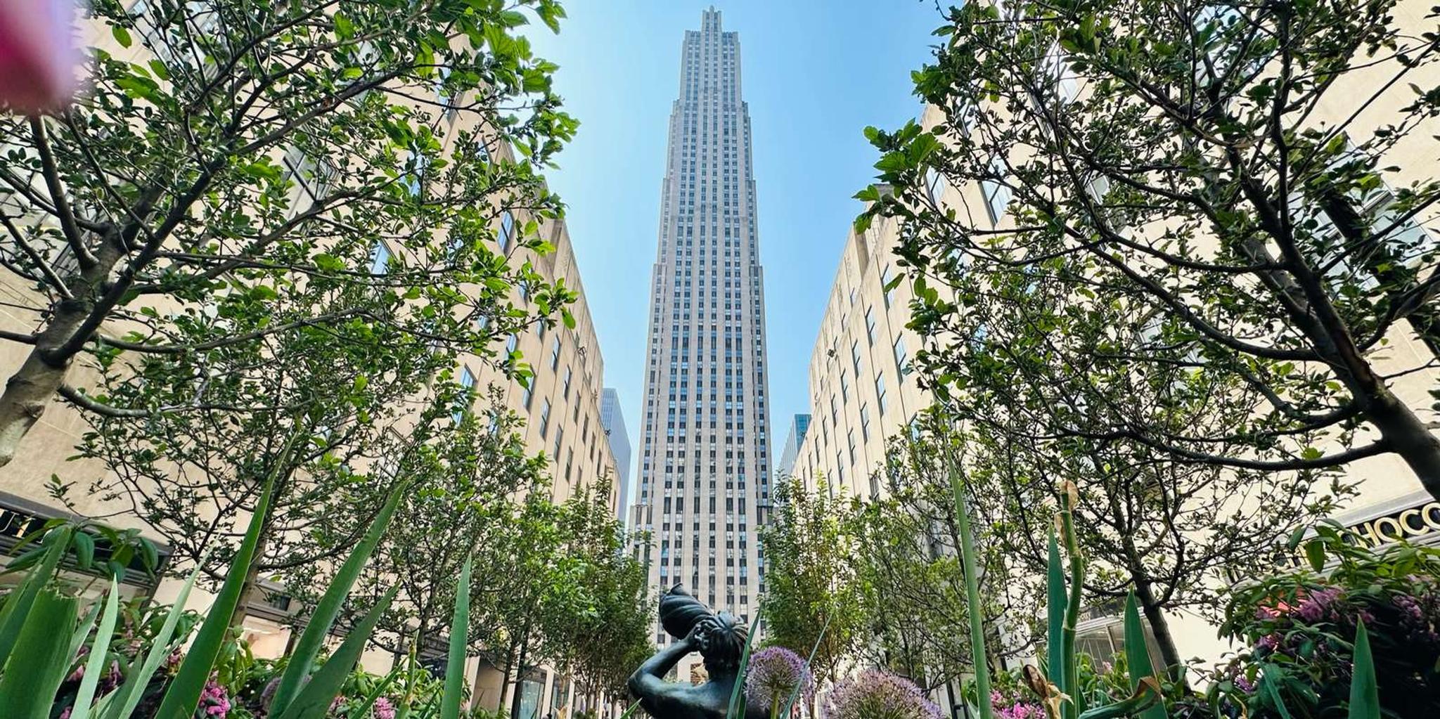 New York City Midtown Manhattan Private Tour - Image 3