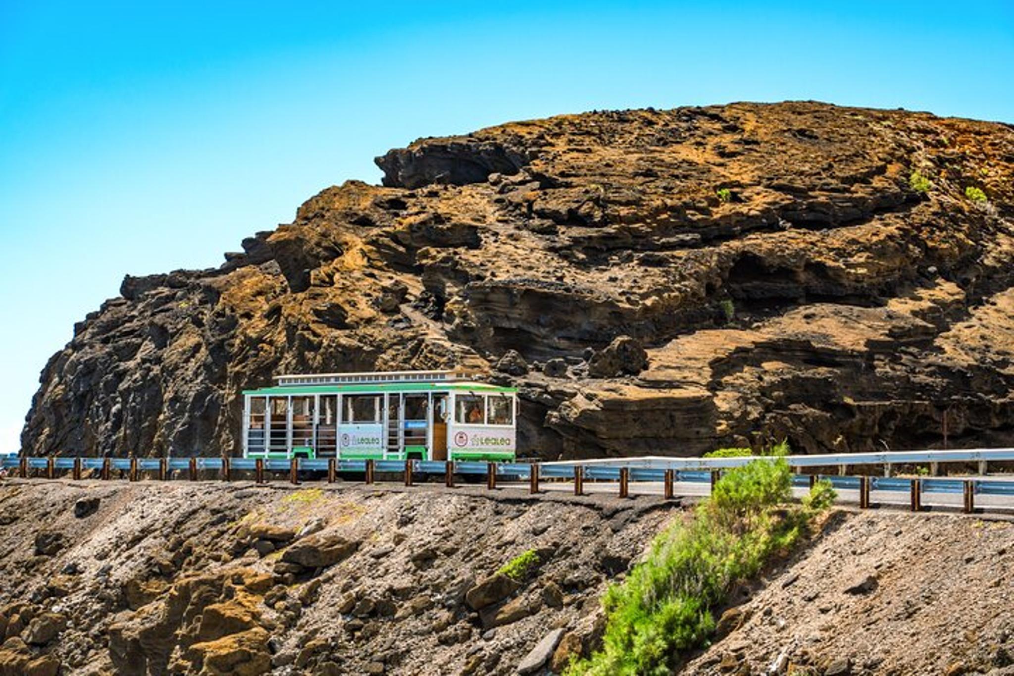 Waikiki Trolley Pink Line 7-Day Pass - Image 5