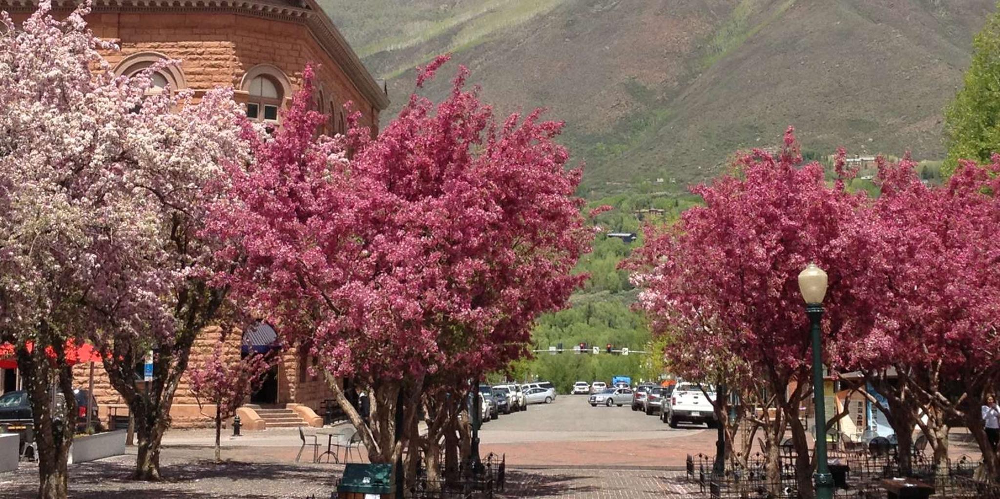 Aspen History Walking Tour - Image 2
