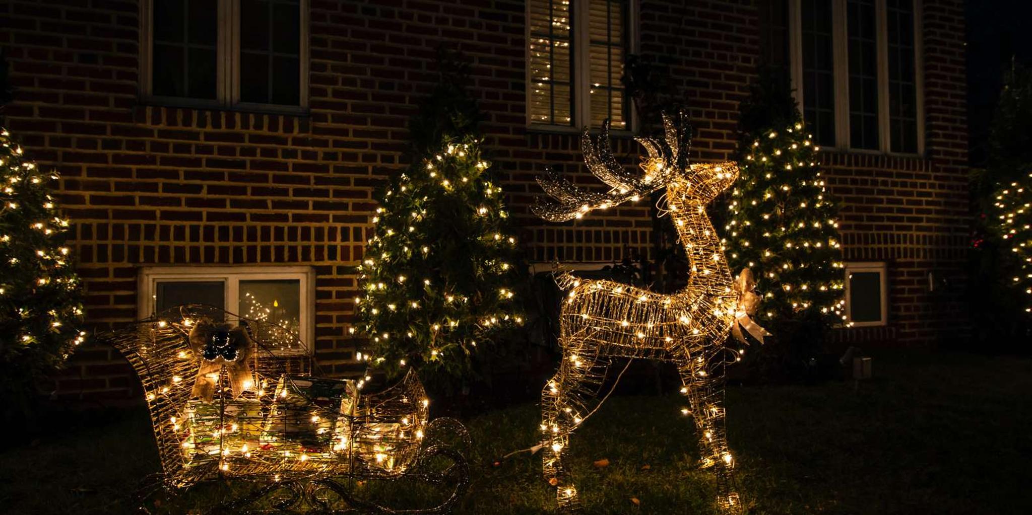 New York City Dyker Heights Christmas Lights Tour - Image 6