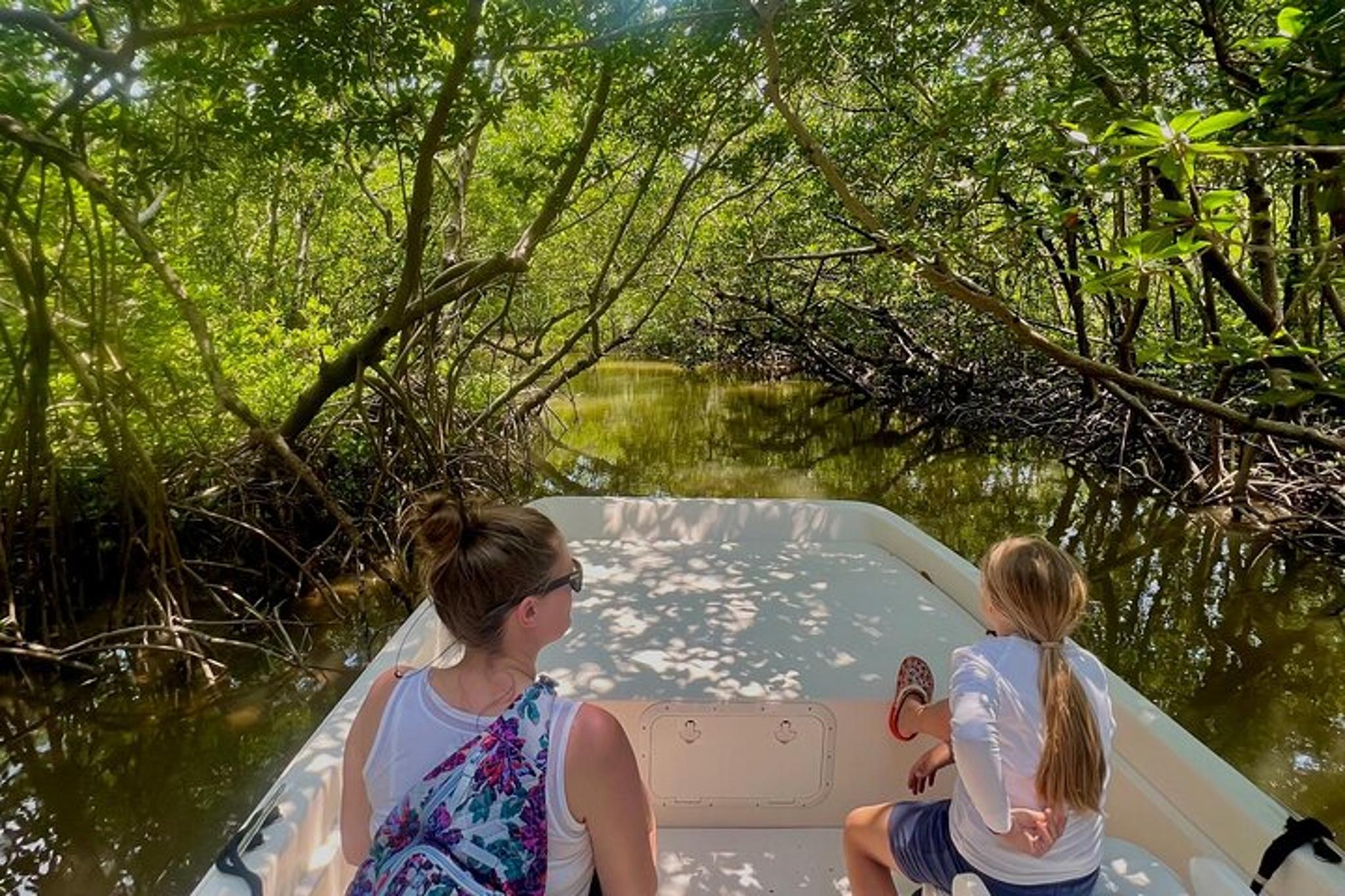 Everglades Mangrove Wilderness Boat Tour - Image 6