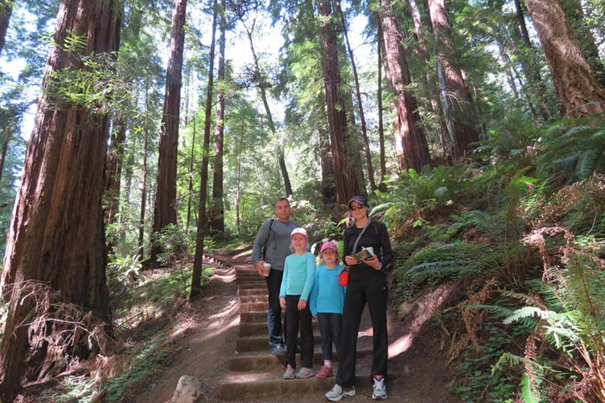 San Francisco Muir Woods & Sausalito Private Tour - Image 5