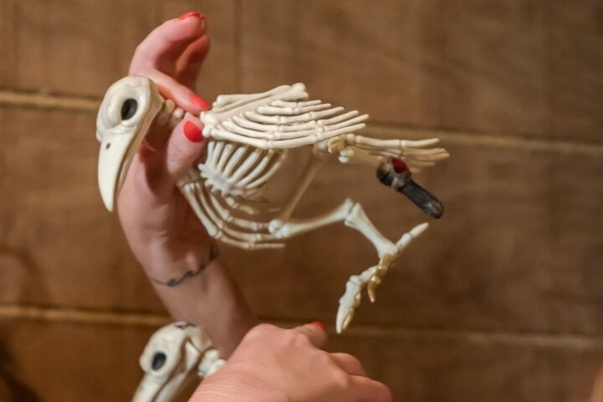 Avondale Escape Room Experience - Image 4