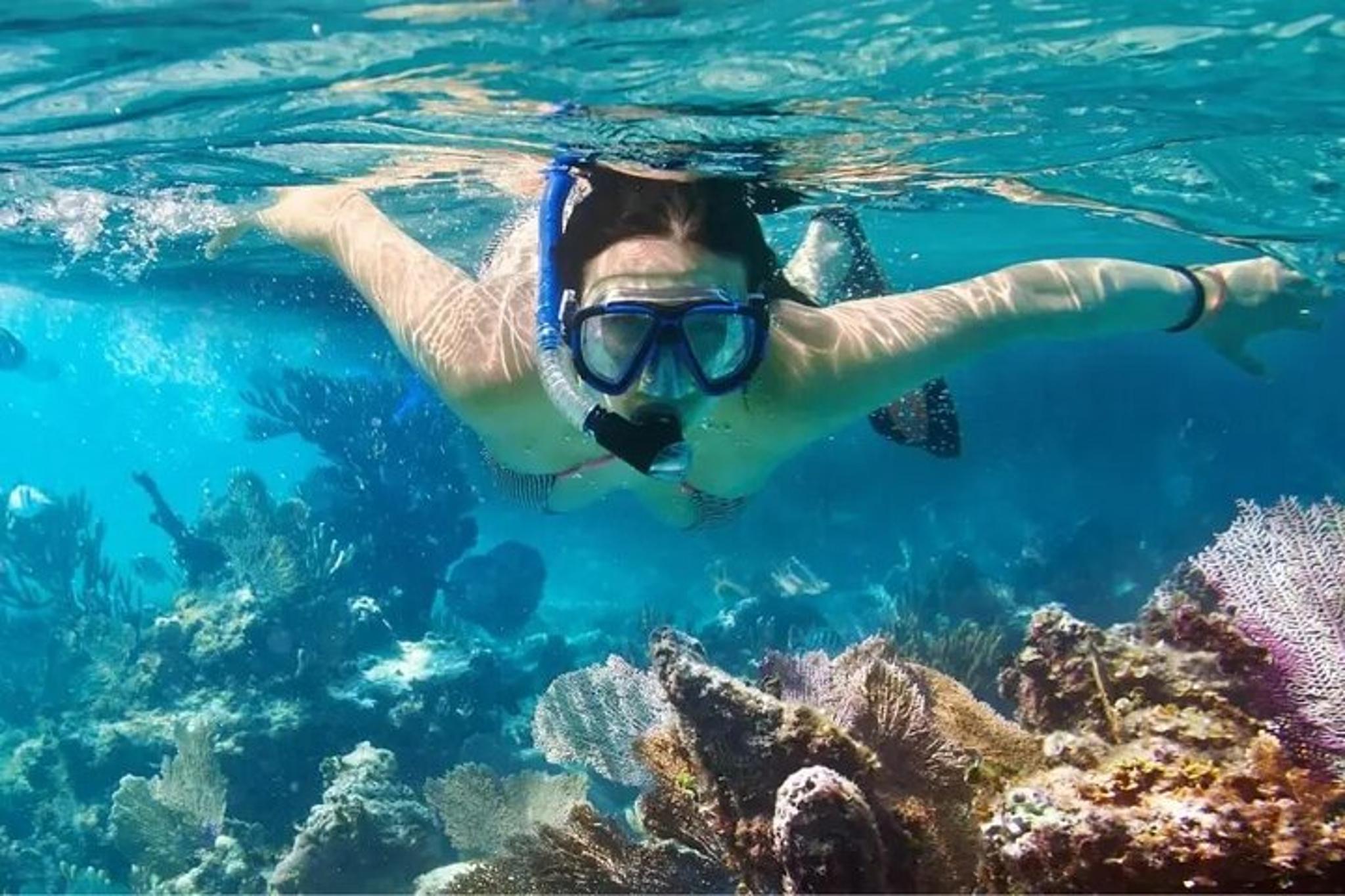 Key Largo Fish & Snorkel Tour 4 hr - Image 2