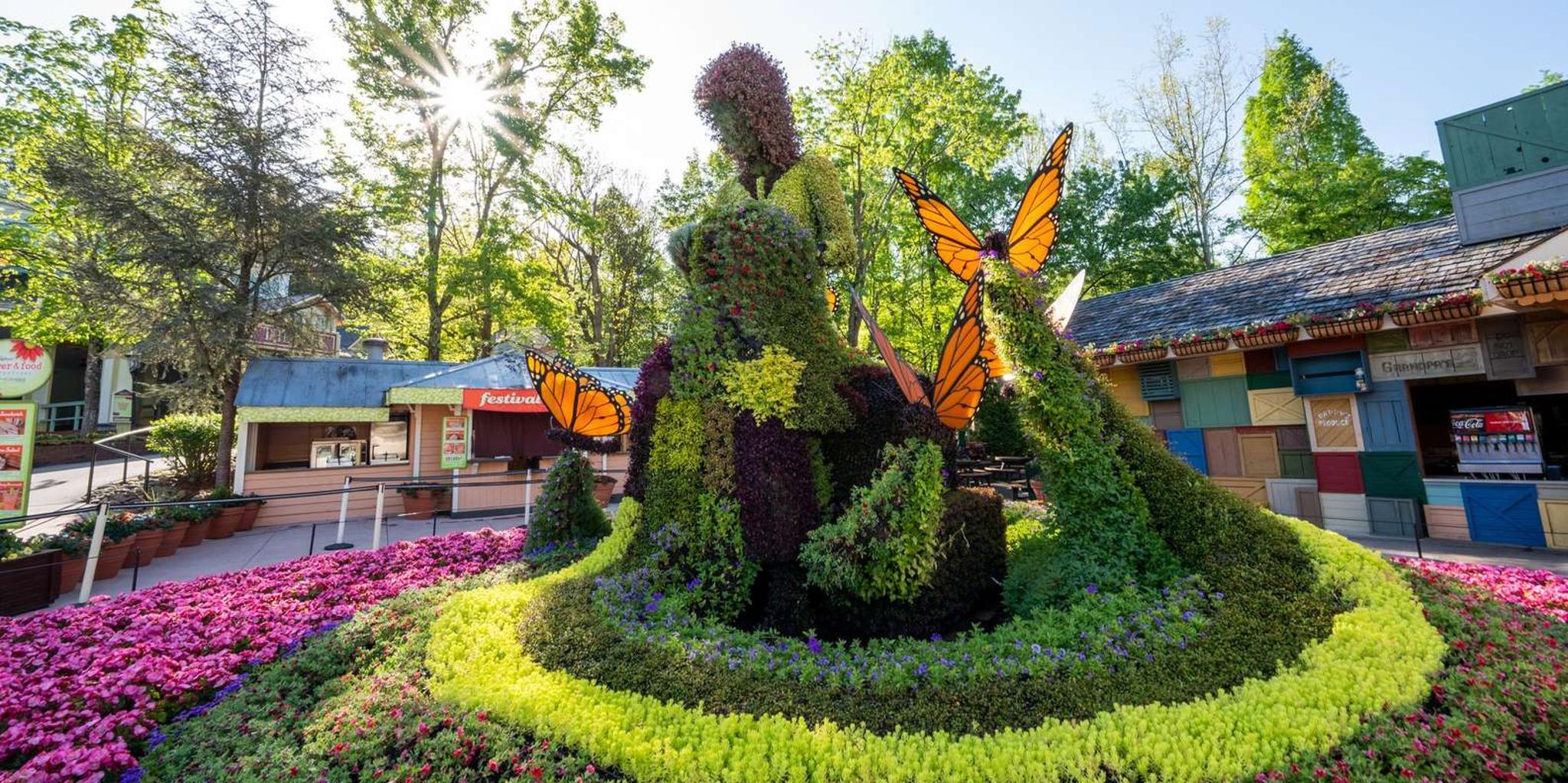 Pigeon Forge Dollywood & Splash Country Combo Ticket - Image 3