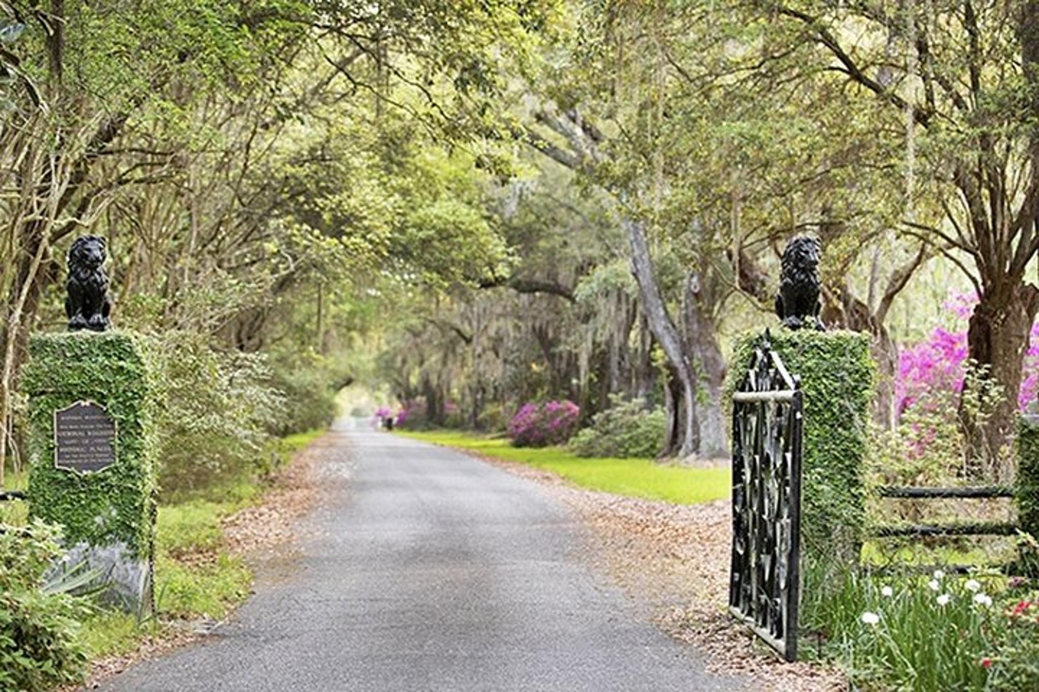 Charleston Private Plantation Tour with Lunch