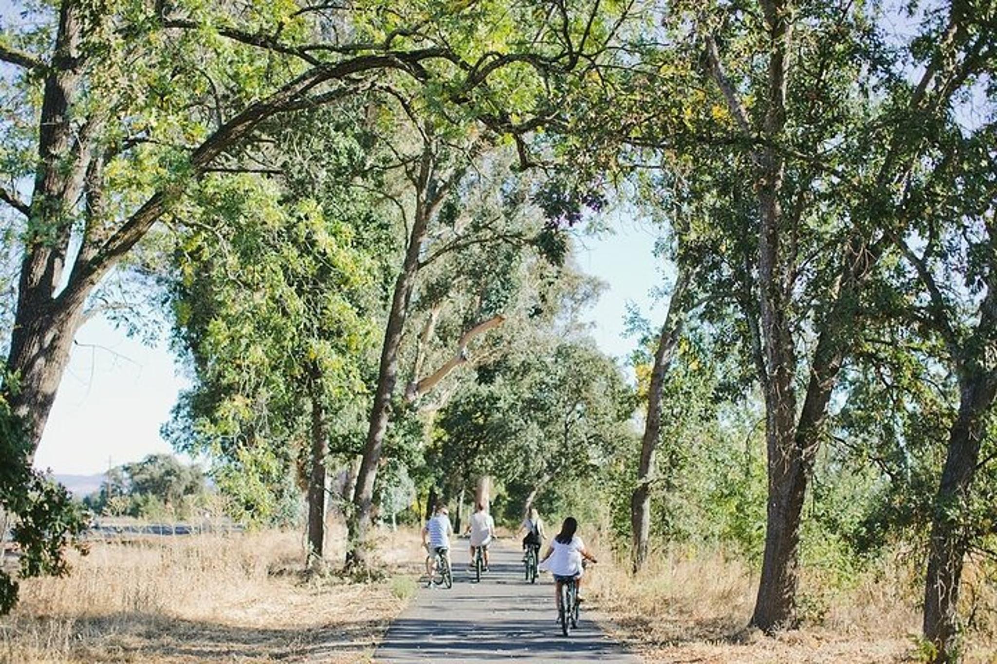 Napa Valley E-Bike Tour - Image 3