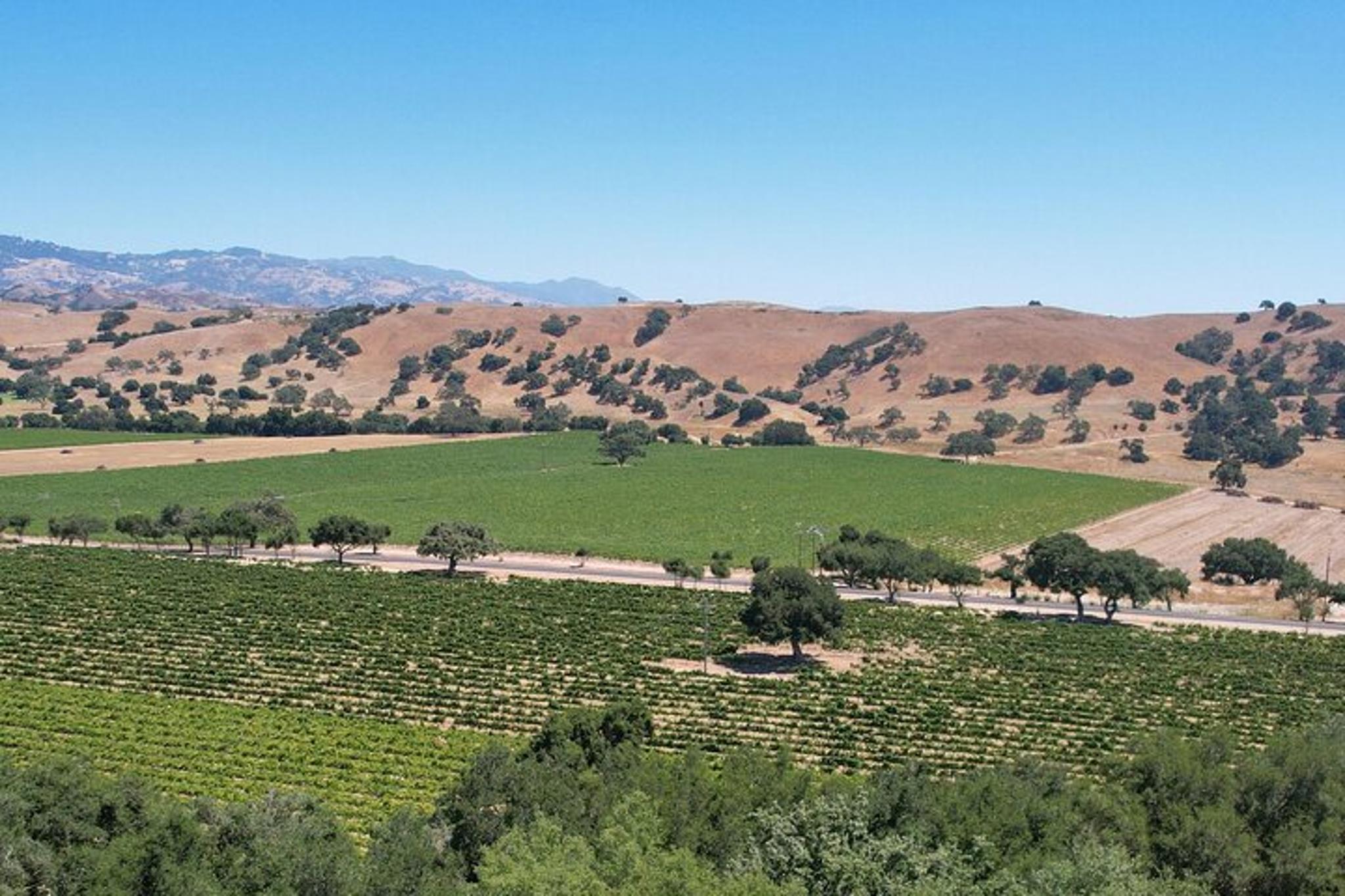 Santa Barbara Wine Tour in Santa Ynez Valley - Image 6
