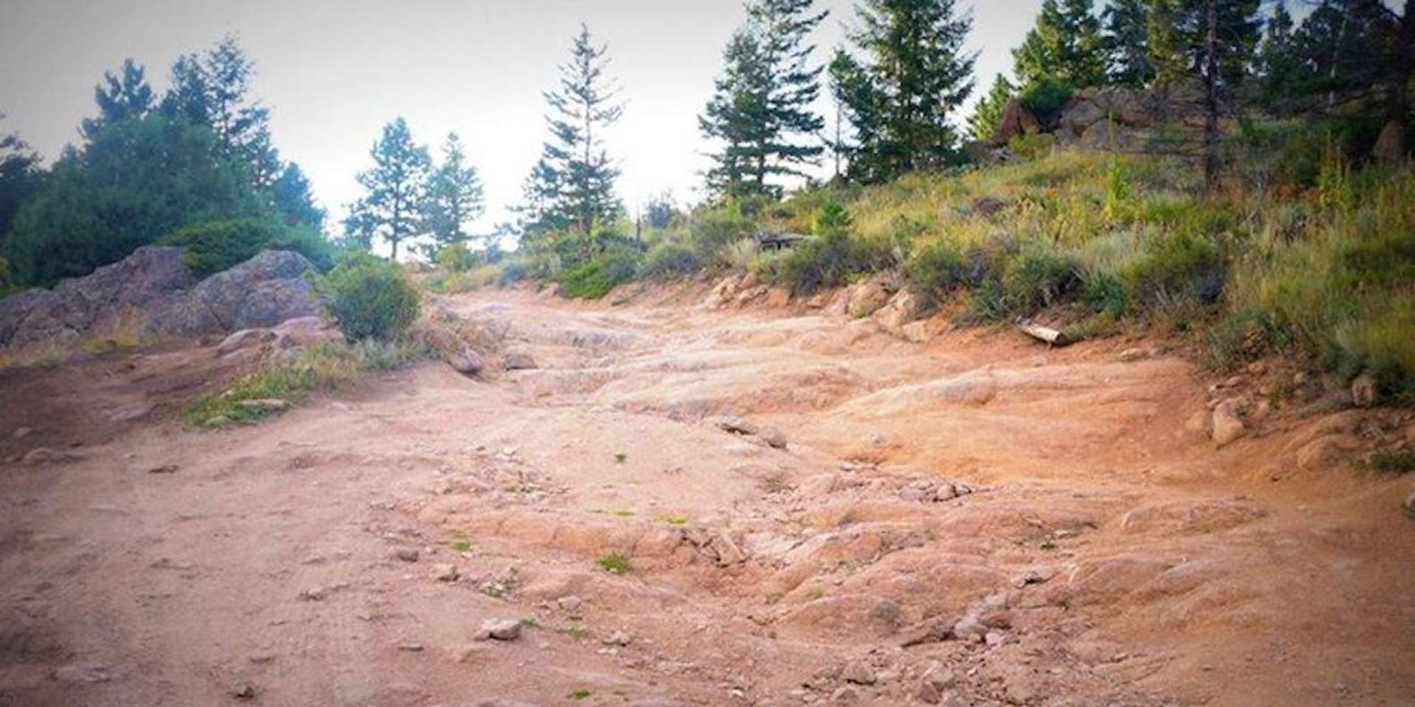 Estes Park Off-Road 4x4 Jeep Adventure - Image 2