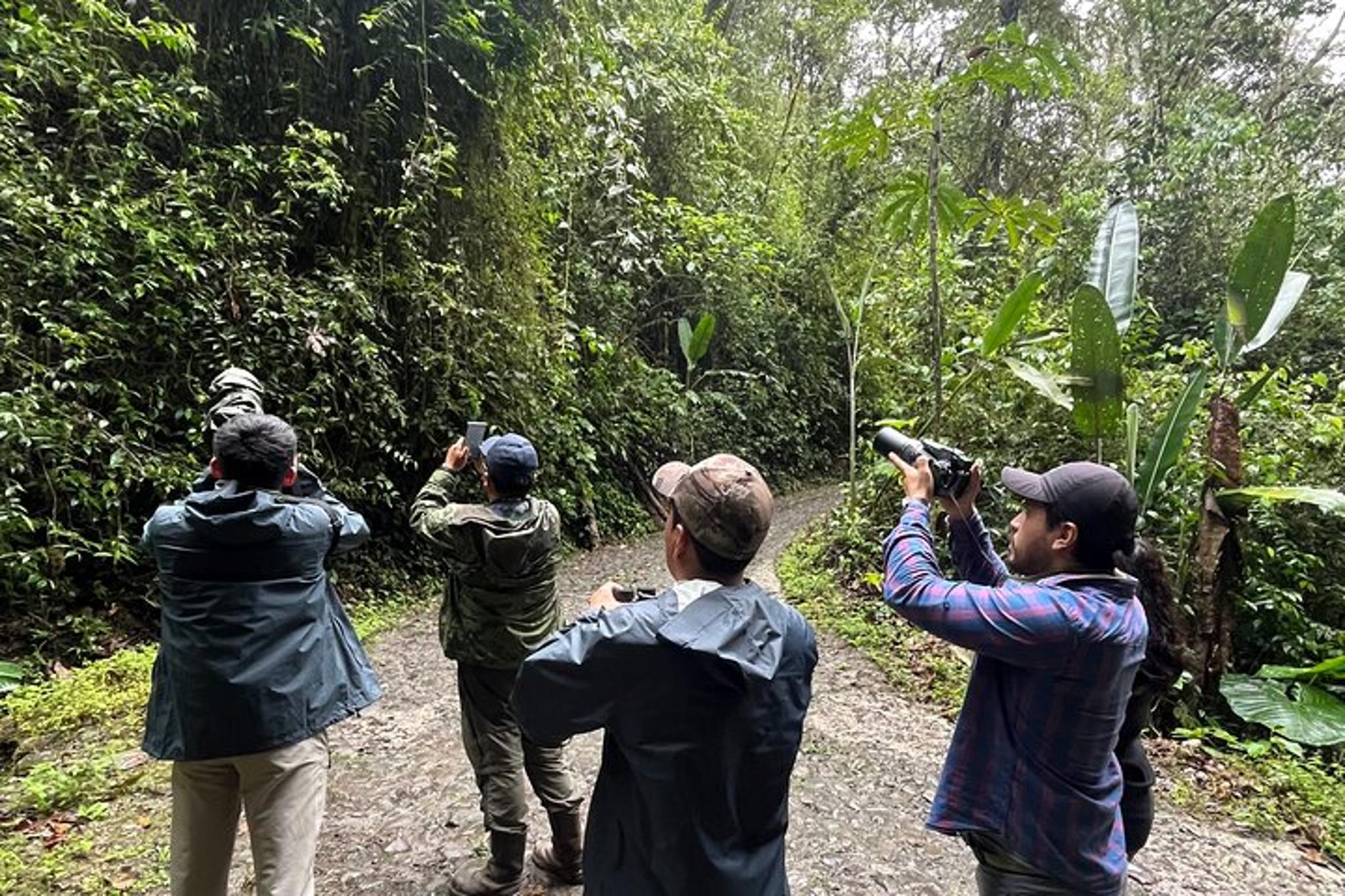 Ecuador Birding Photo Tour Andes to Amazon 10 Days - Image 4