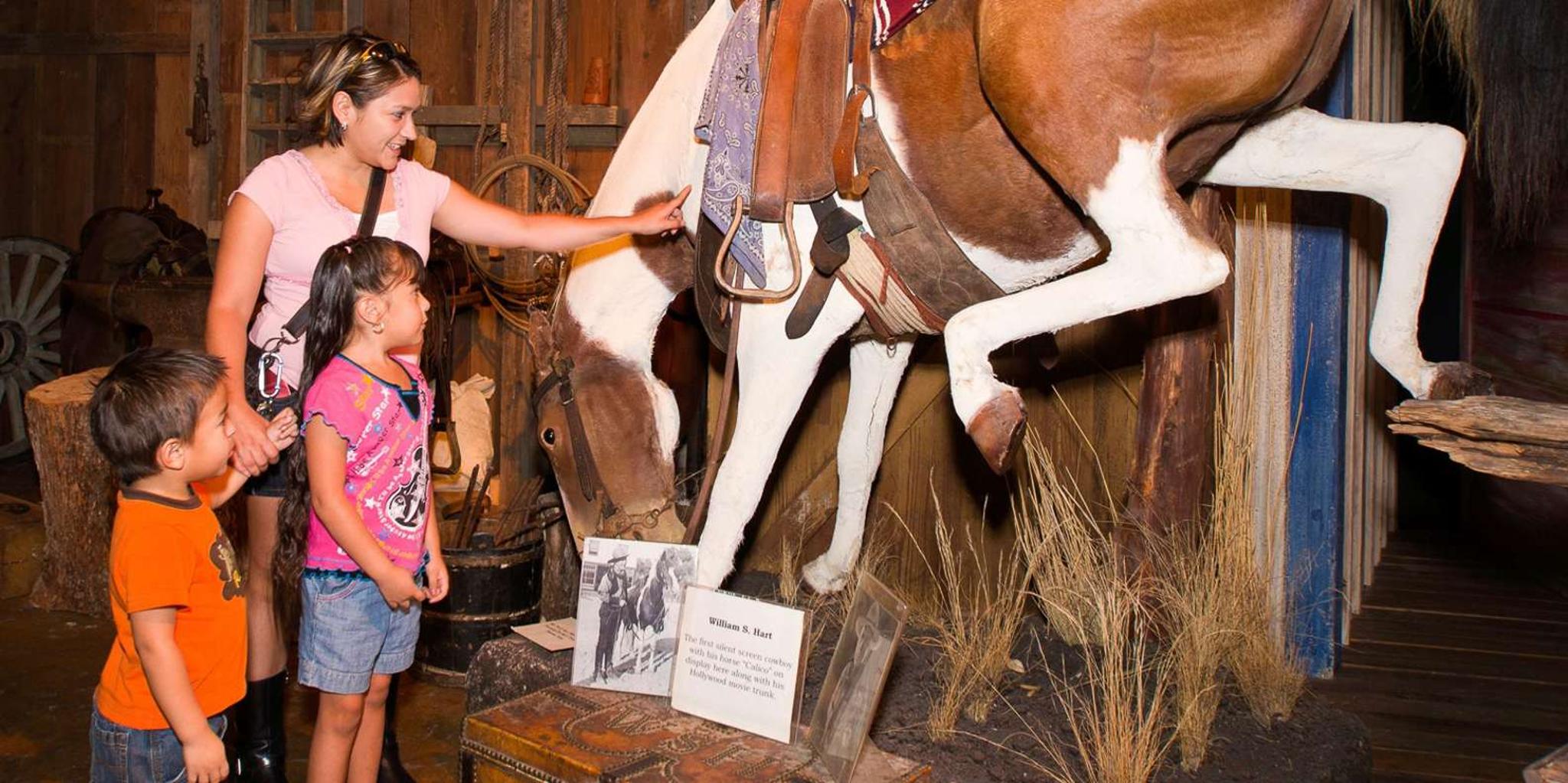 San Antonio Explorer Pass with 25+ Attractions - Image 5