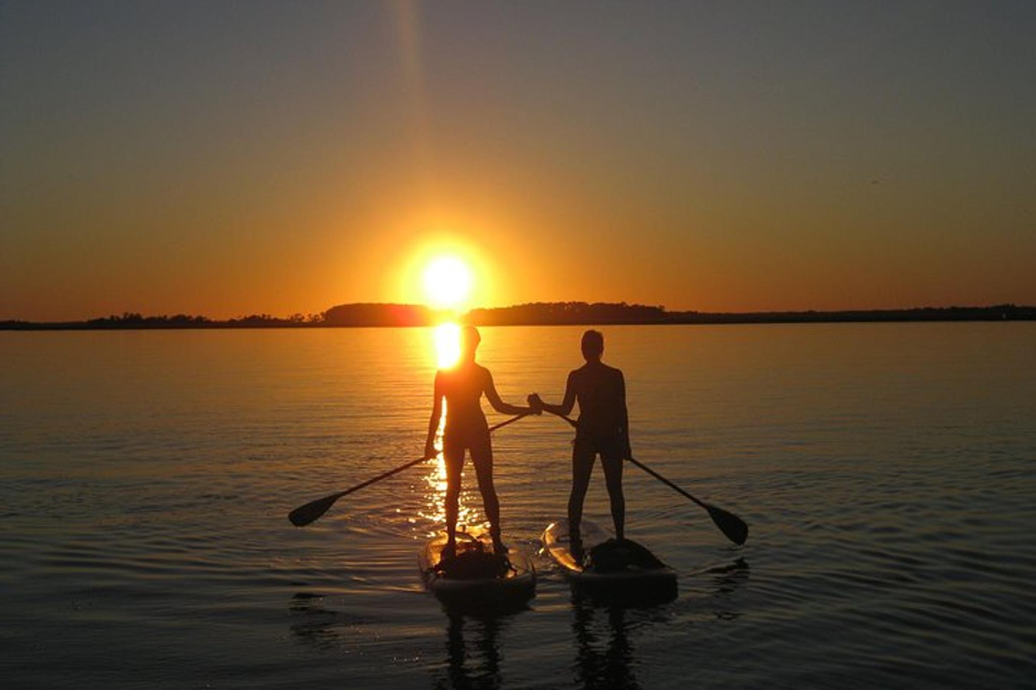 Charleston Stand-Up Paddleboard Eco Tour - Image 3