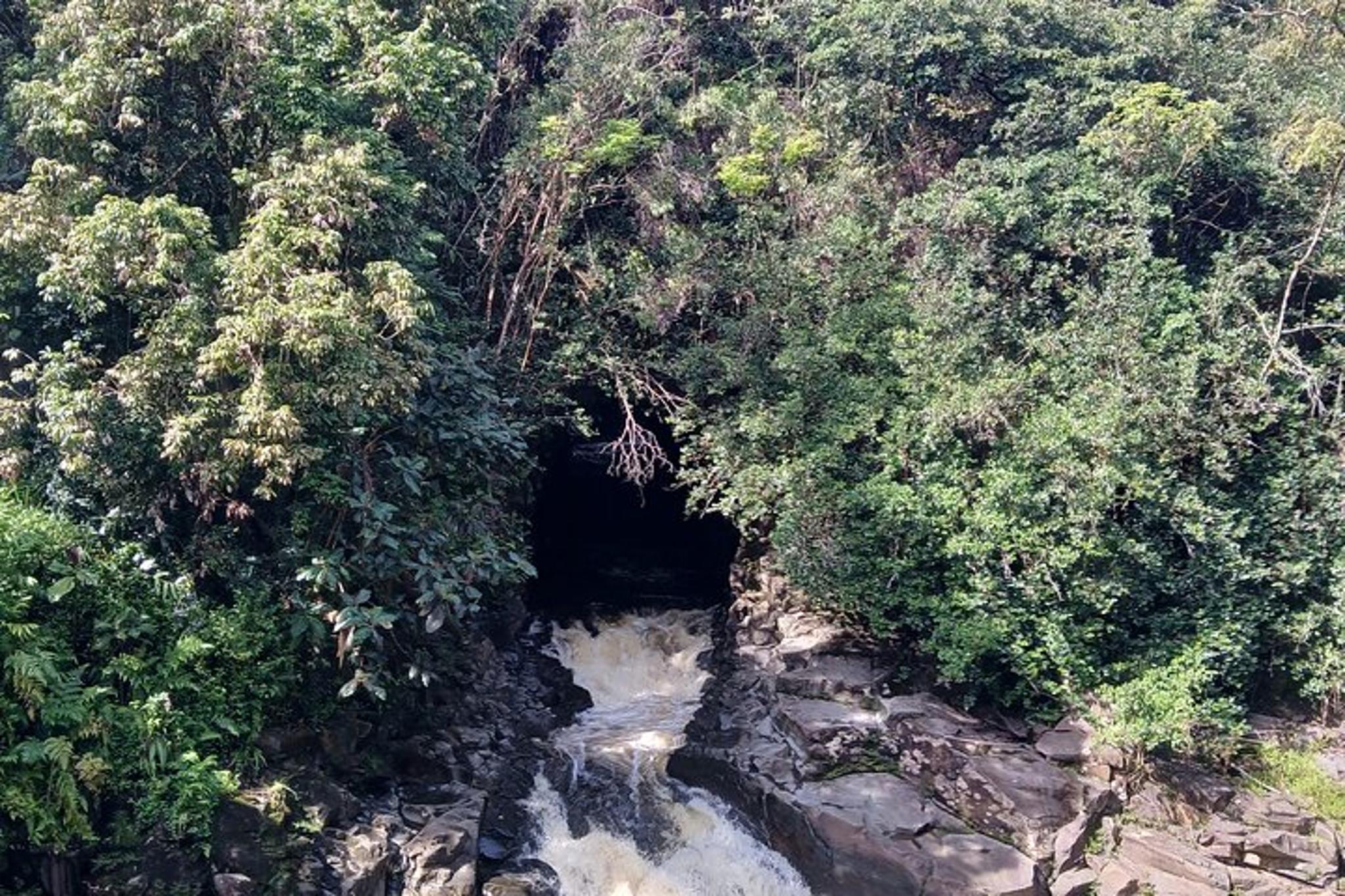 Hilo Volcano National Park Private Excursion - Image 3