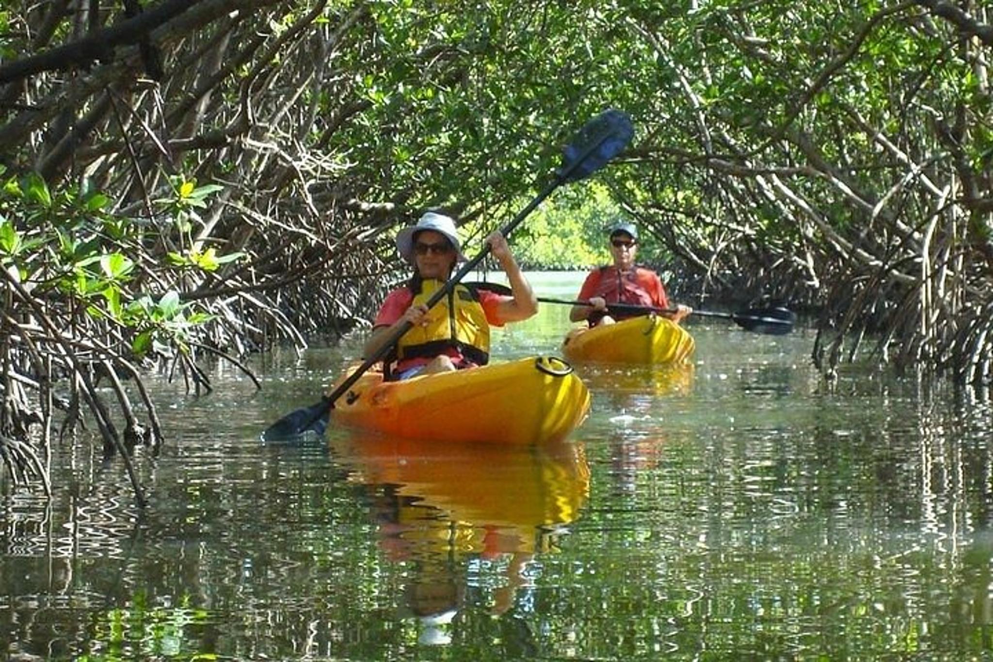 Fort Myers Kayak or SUP Rental 3hr