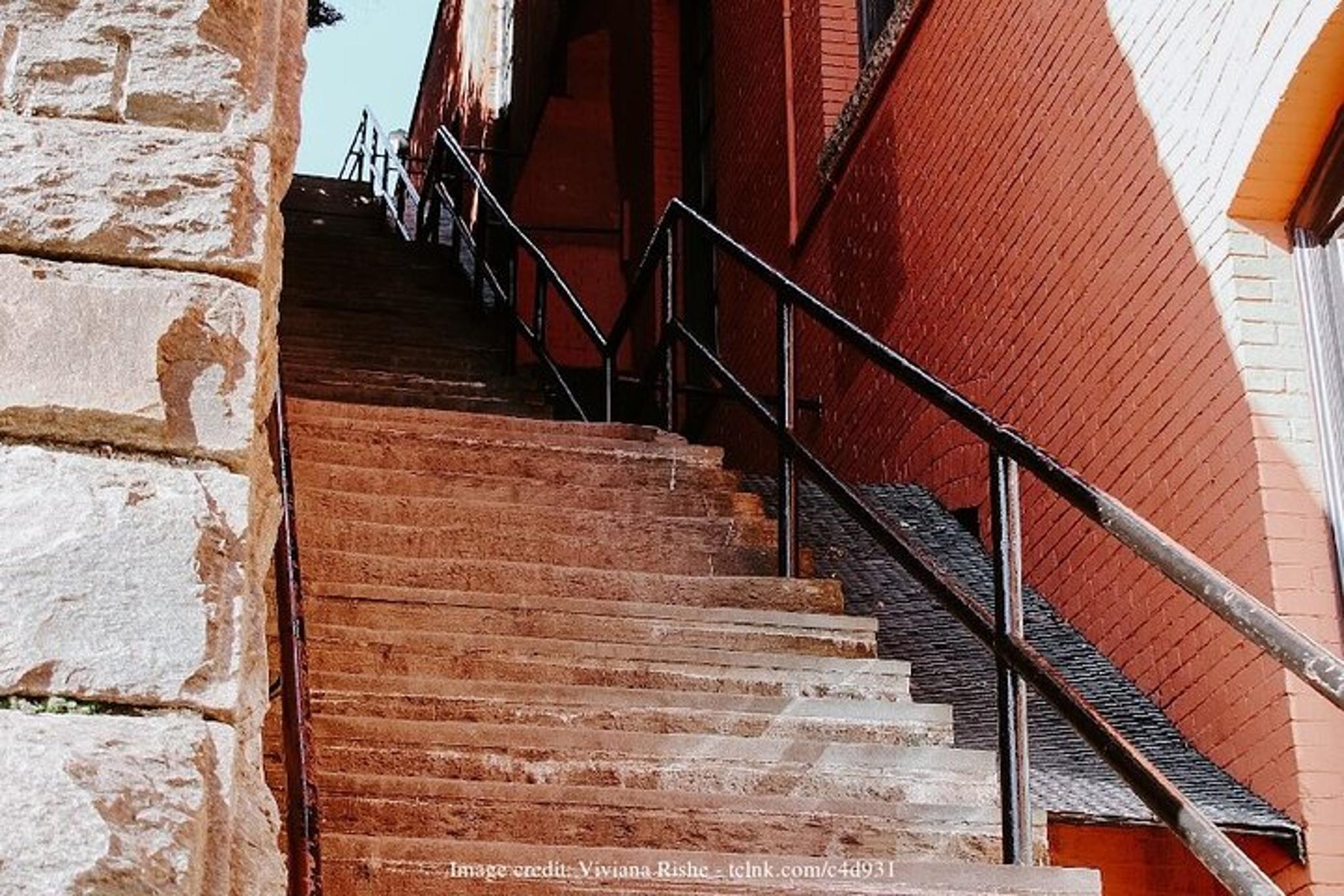 Washington D.C. Historic Georgetown Walking Tour 3 hr - Image 6