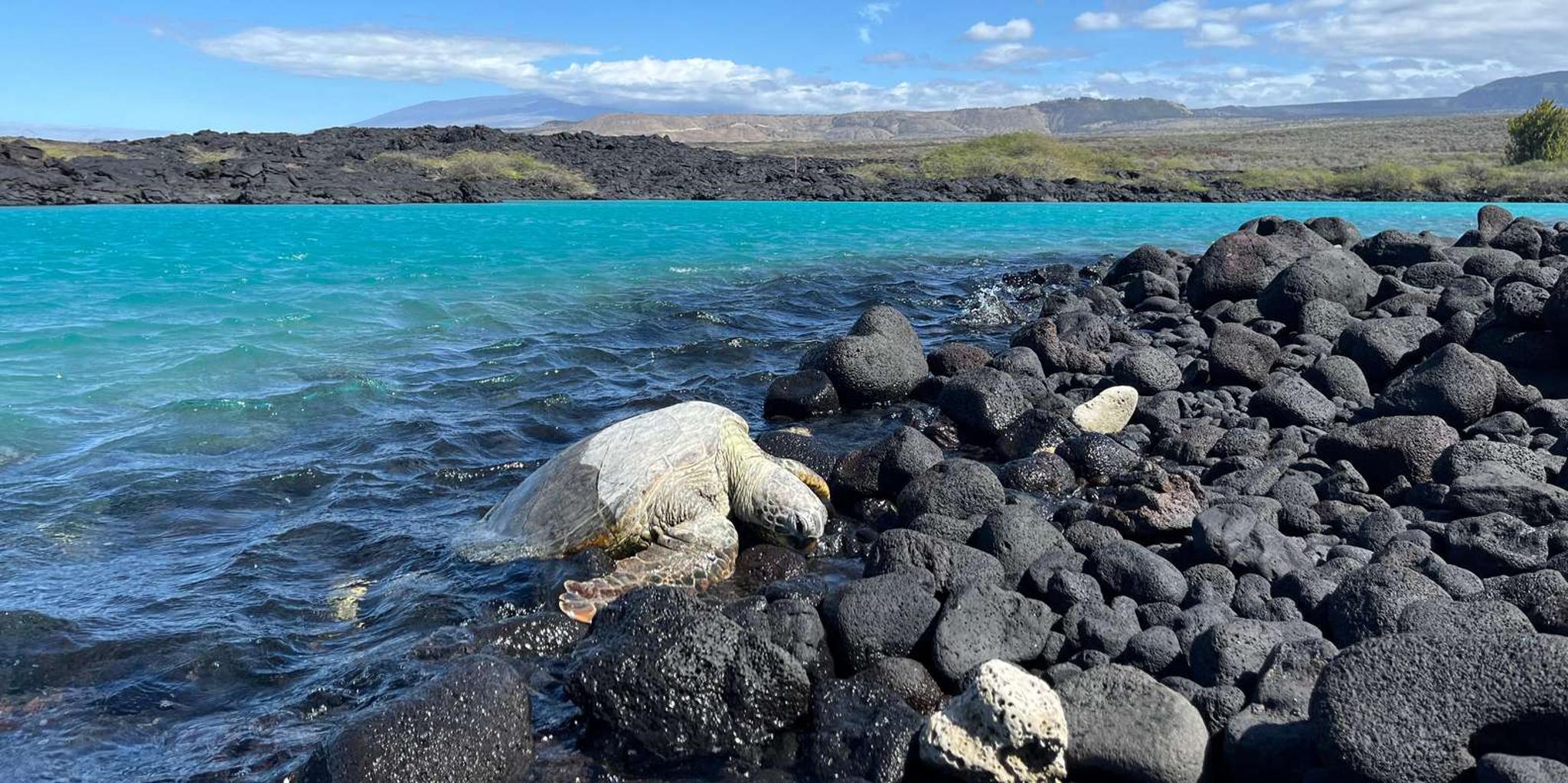 Kailua-Kona Coast Hike and Swim - Image 2