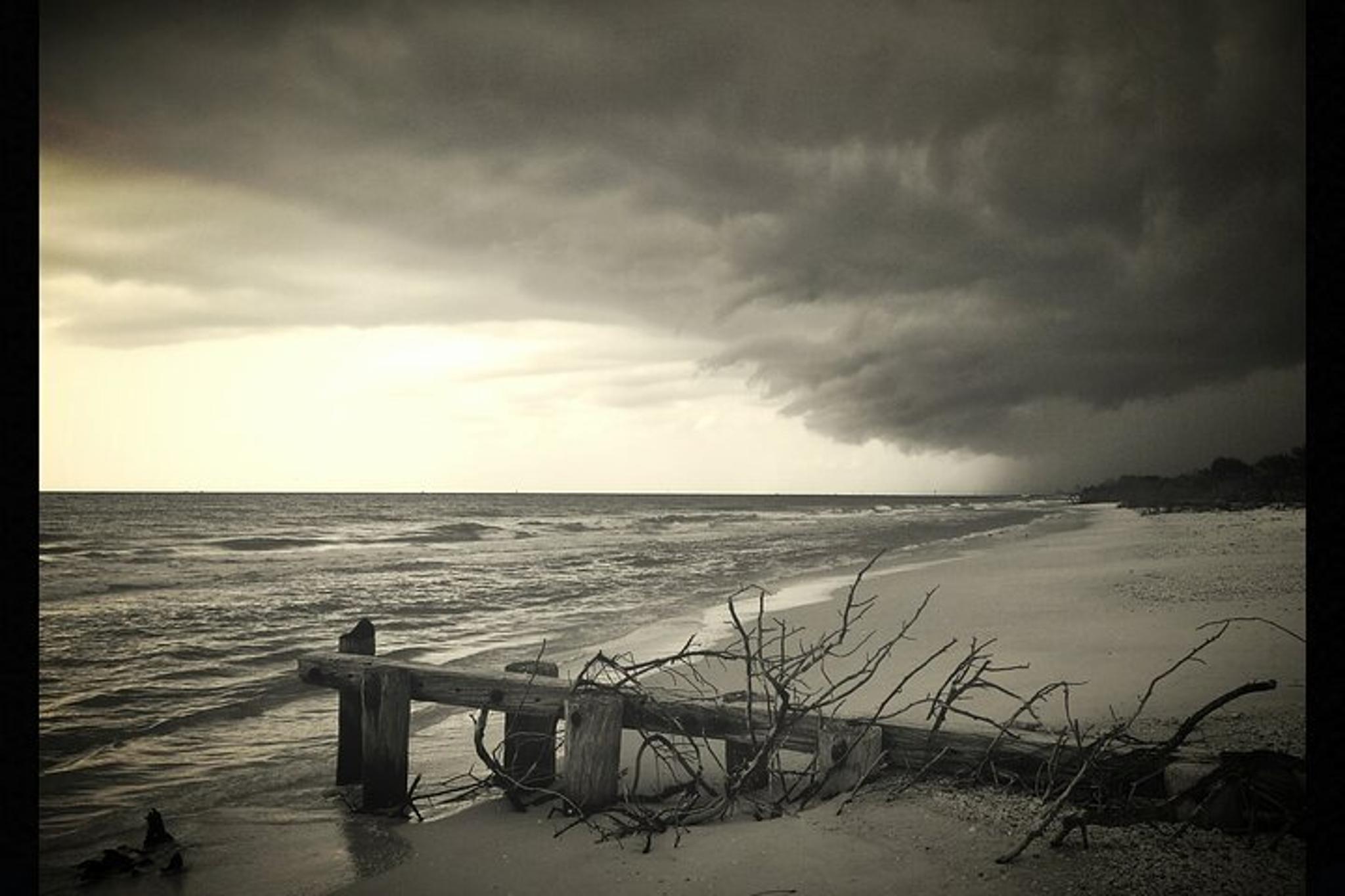 Naples Private Beach or Sunset Boat Tour - Image 5