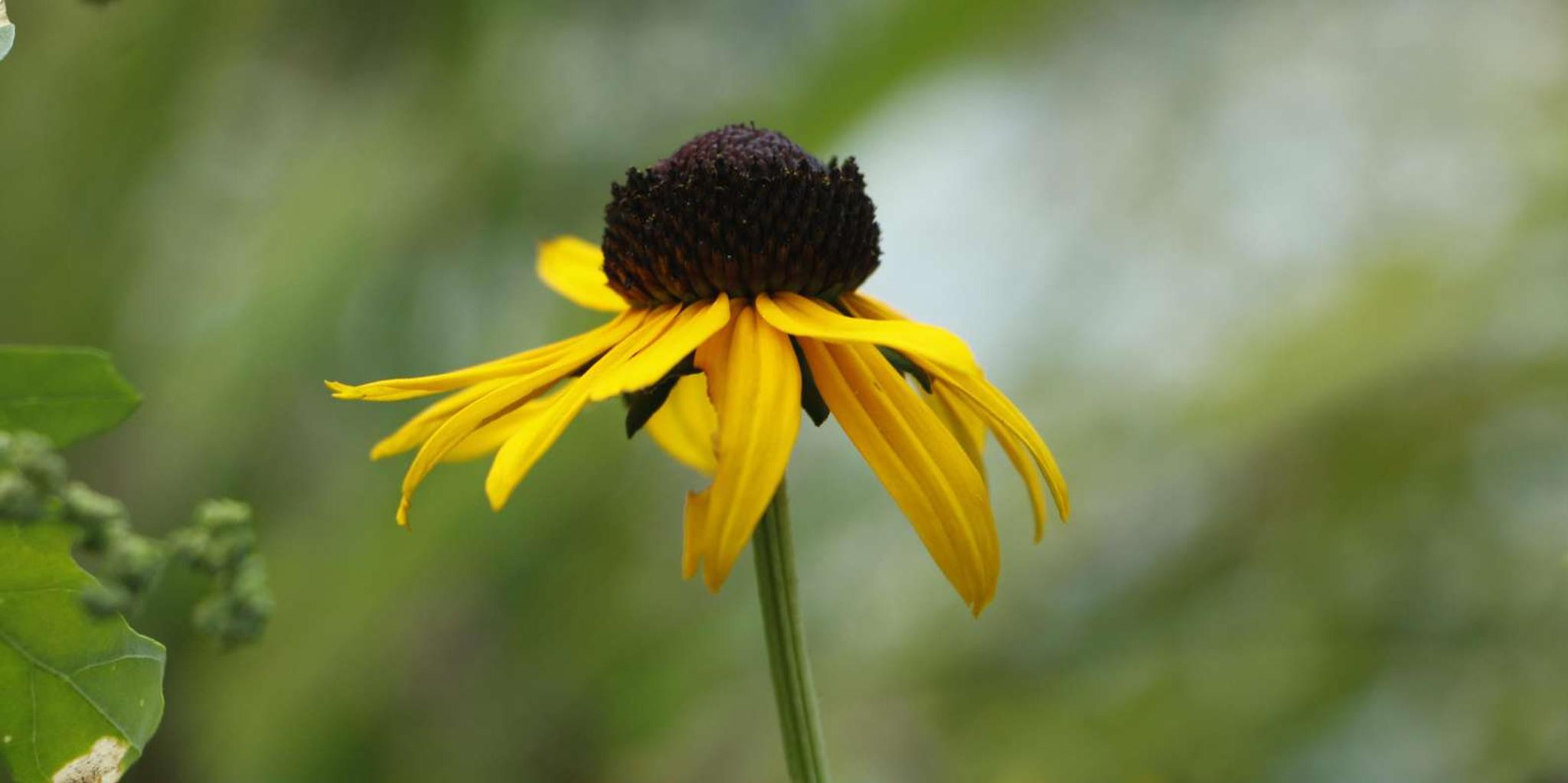 New York Central Park Selfie Tour with Photographer - Image 6