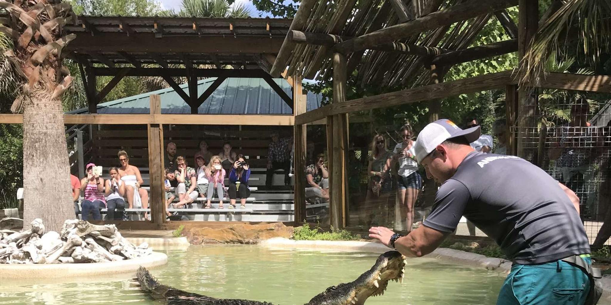 Orlando Everglades Airboat Tour and Wildlife Park - Image 6