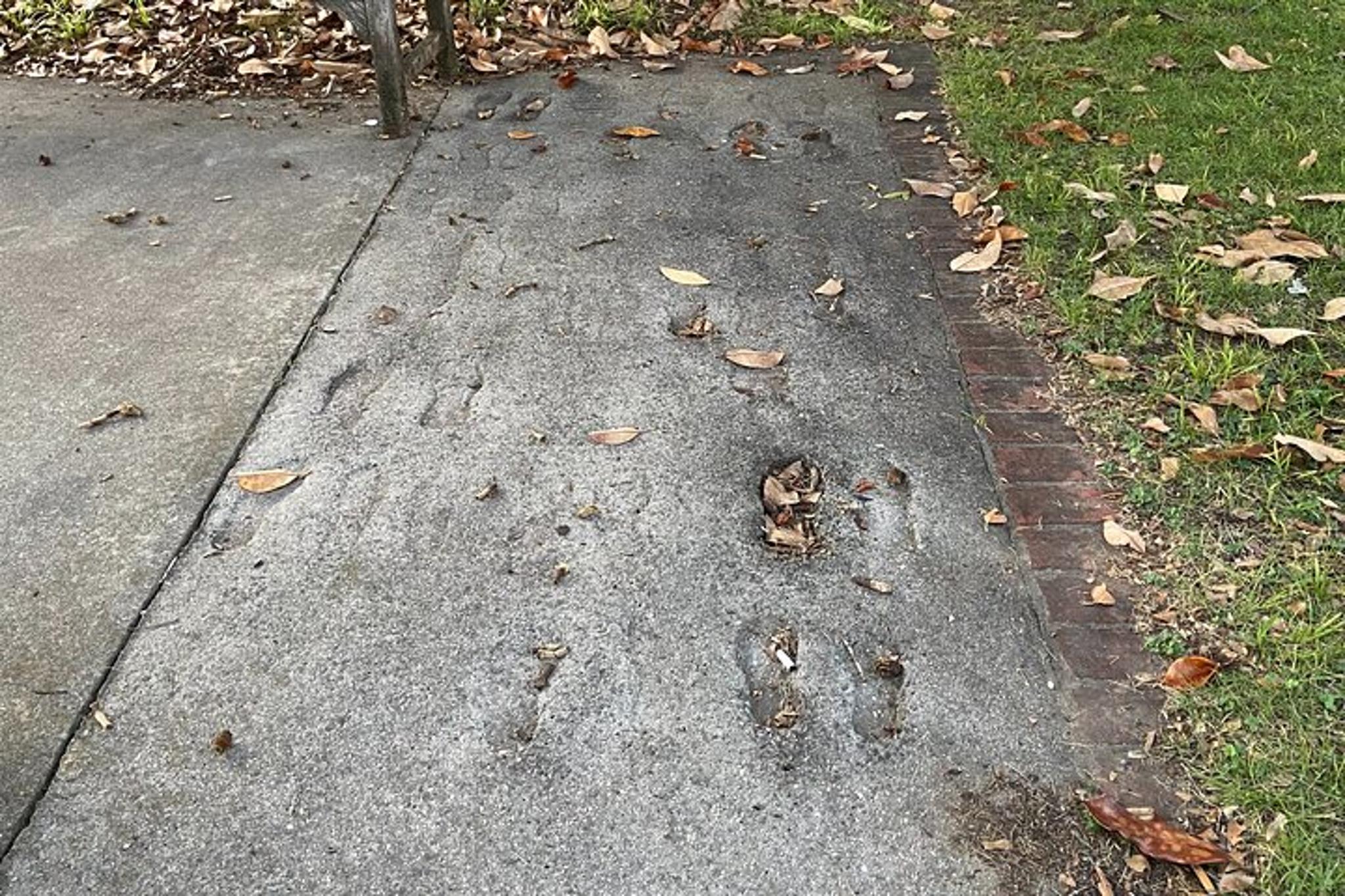 Huntsville Smartphone Self-Guided Walking Tour - Image 2