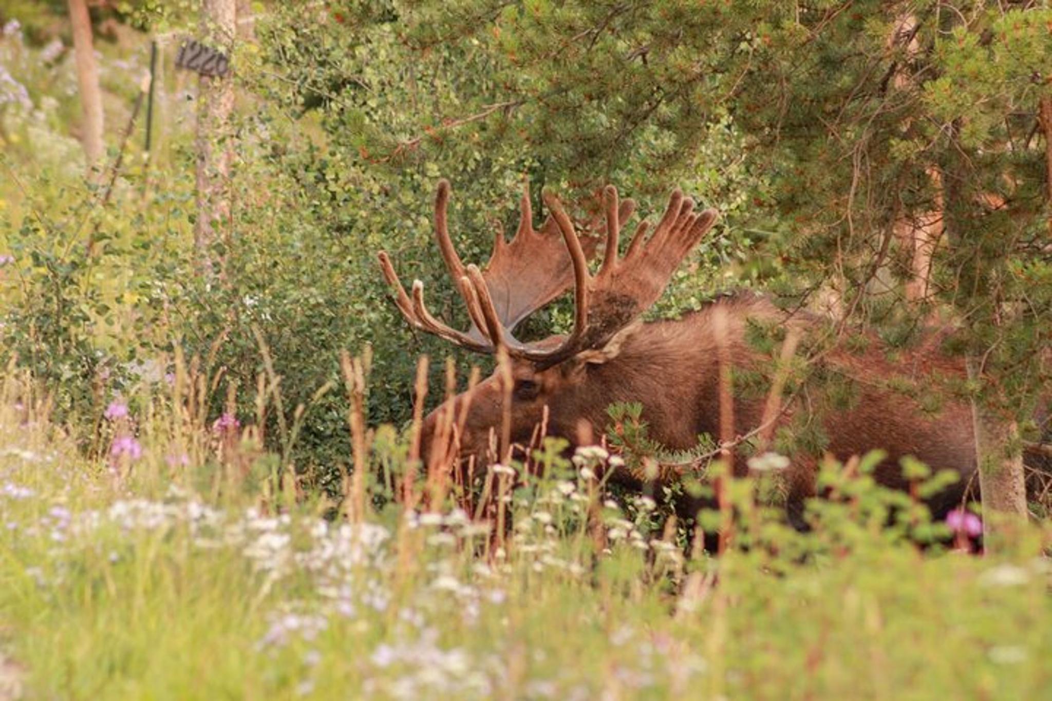 Denver Airport Transfer to Breckenridge or Keystone - Image 1