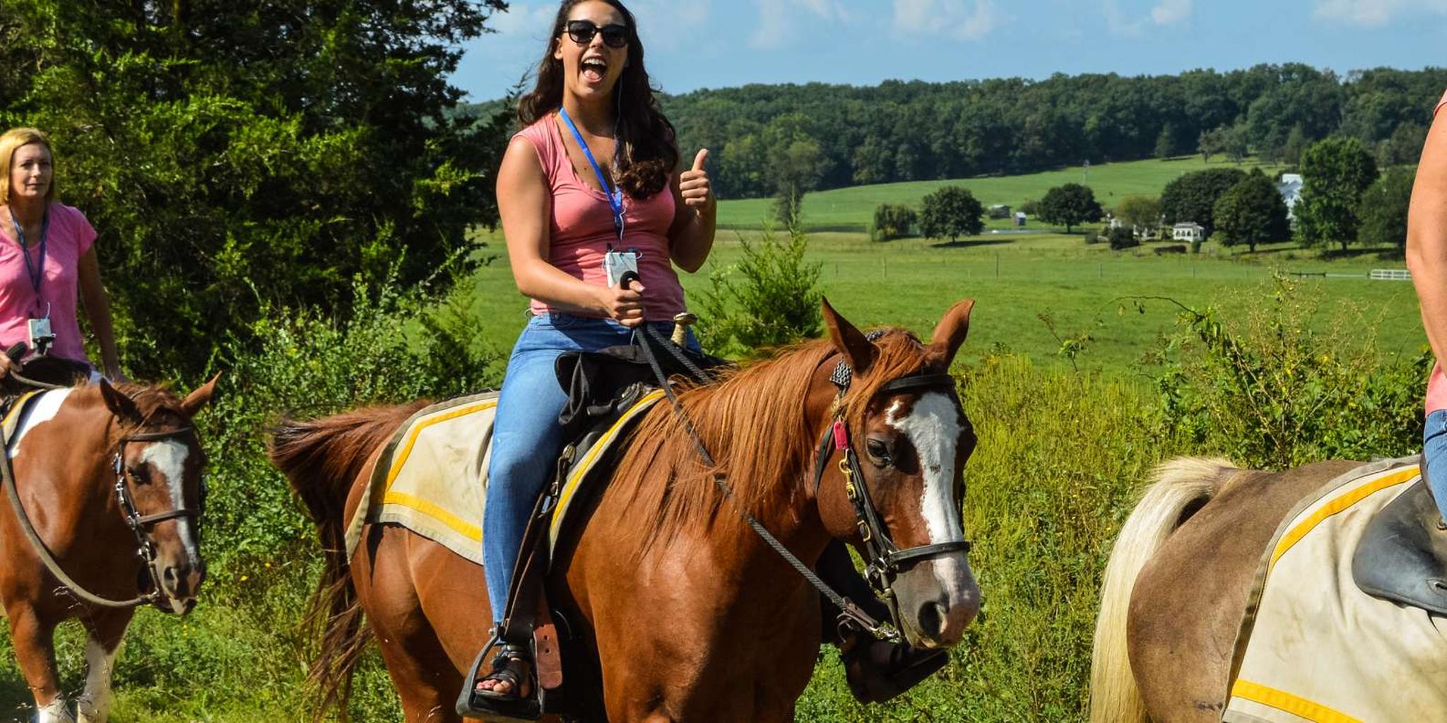 Gettysburg Battlefield Horseback Tour - Image 3