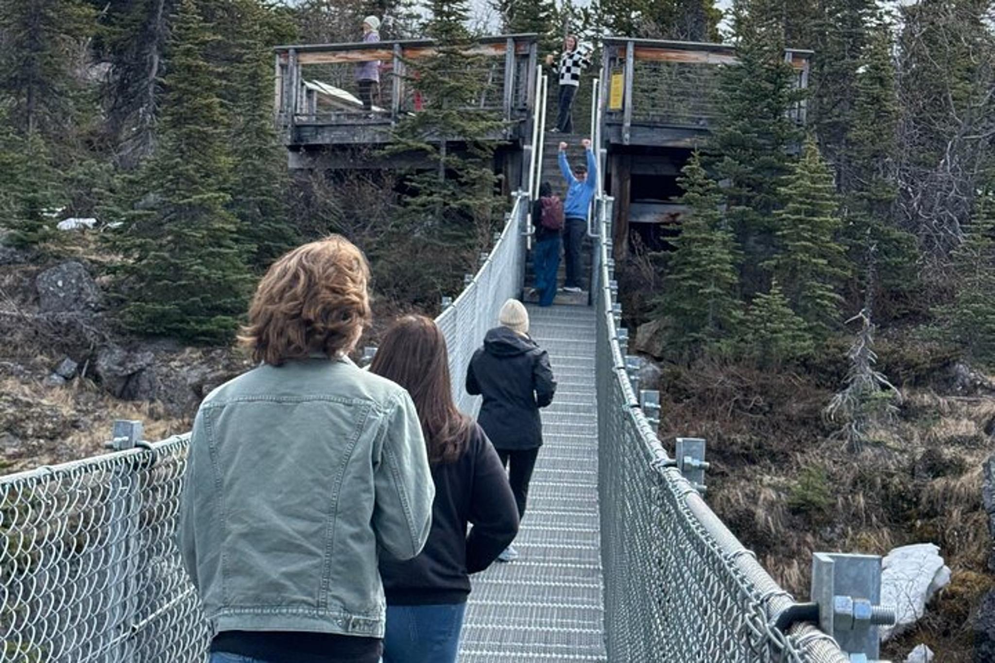 Skagway Suspension Bridge and Valley Tour - Image 3