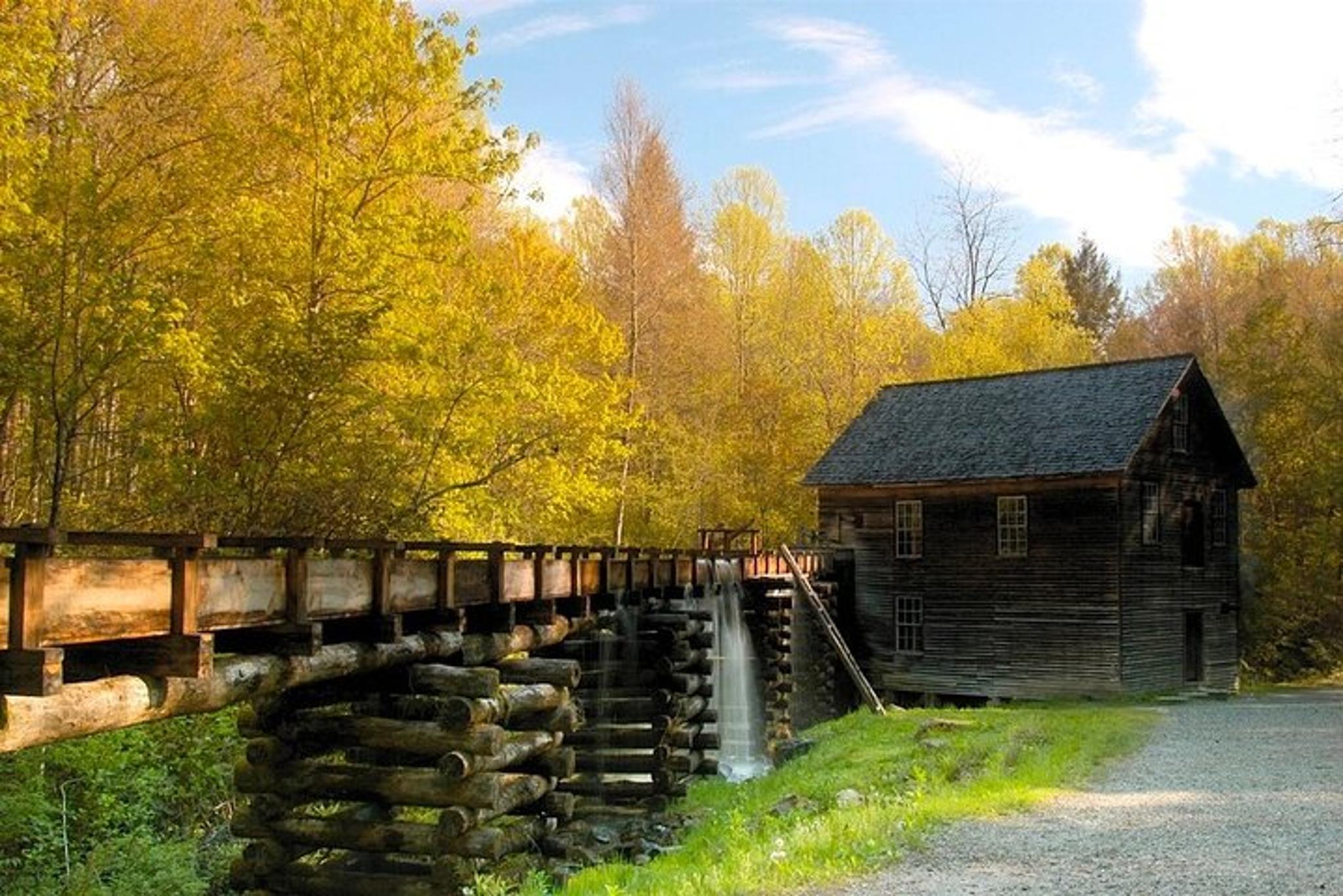 Great Smoky Mountains National Park Driving Tour - Image 4