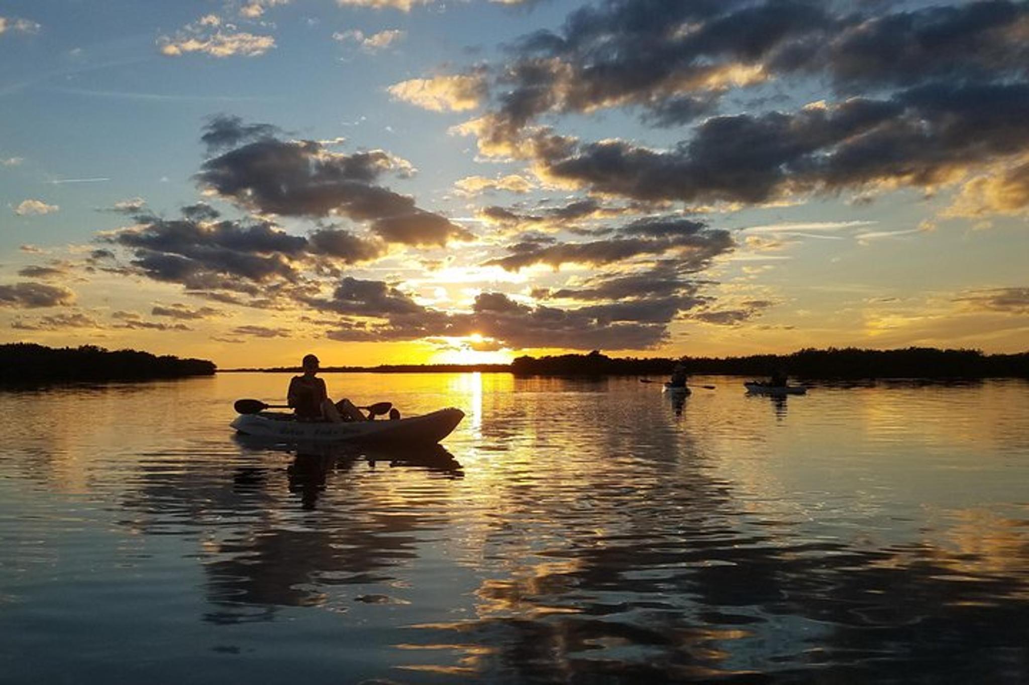 Cocoa Beach Mangrove Kayak Tour at Sunset - Image 6