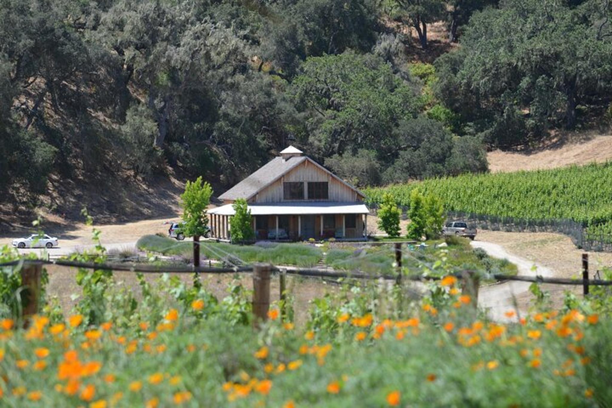 Santa Barbara Wine Tour - Image 6