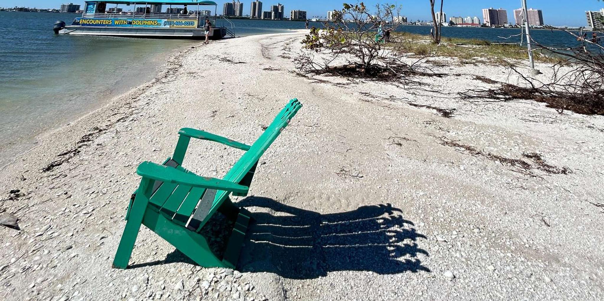 Clearwater Dolphin Cruise and Island Adventure - Image 6