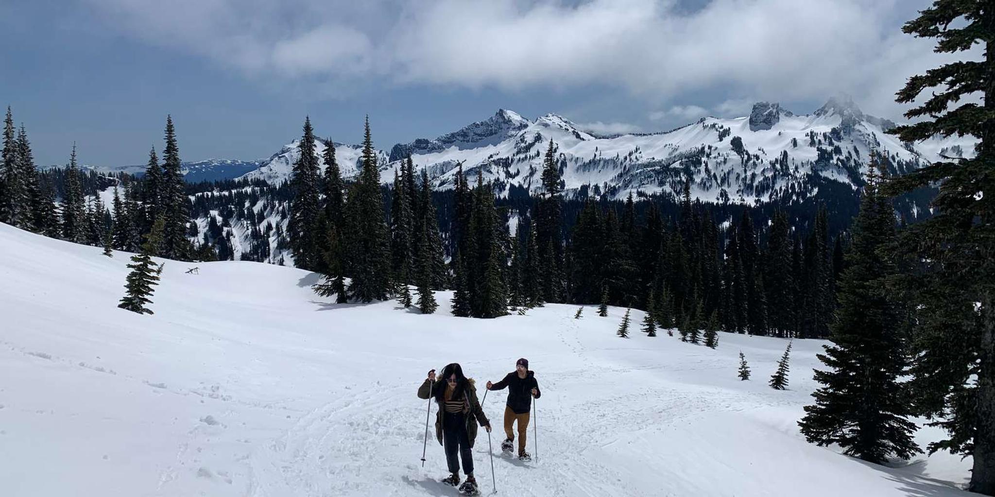 Seattle Mt. Rainier Guided Hike - Image 3