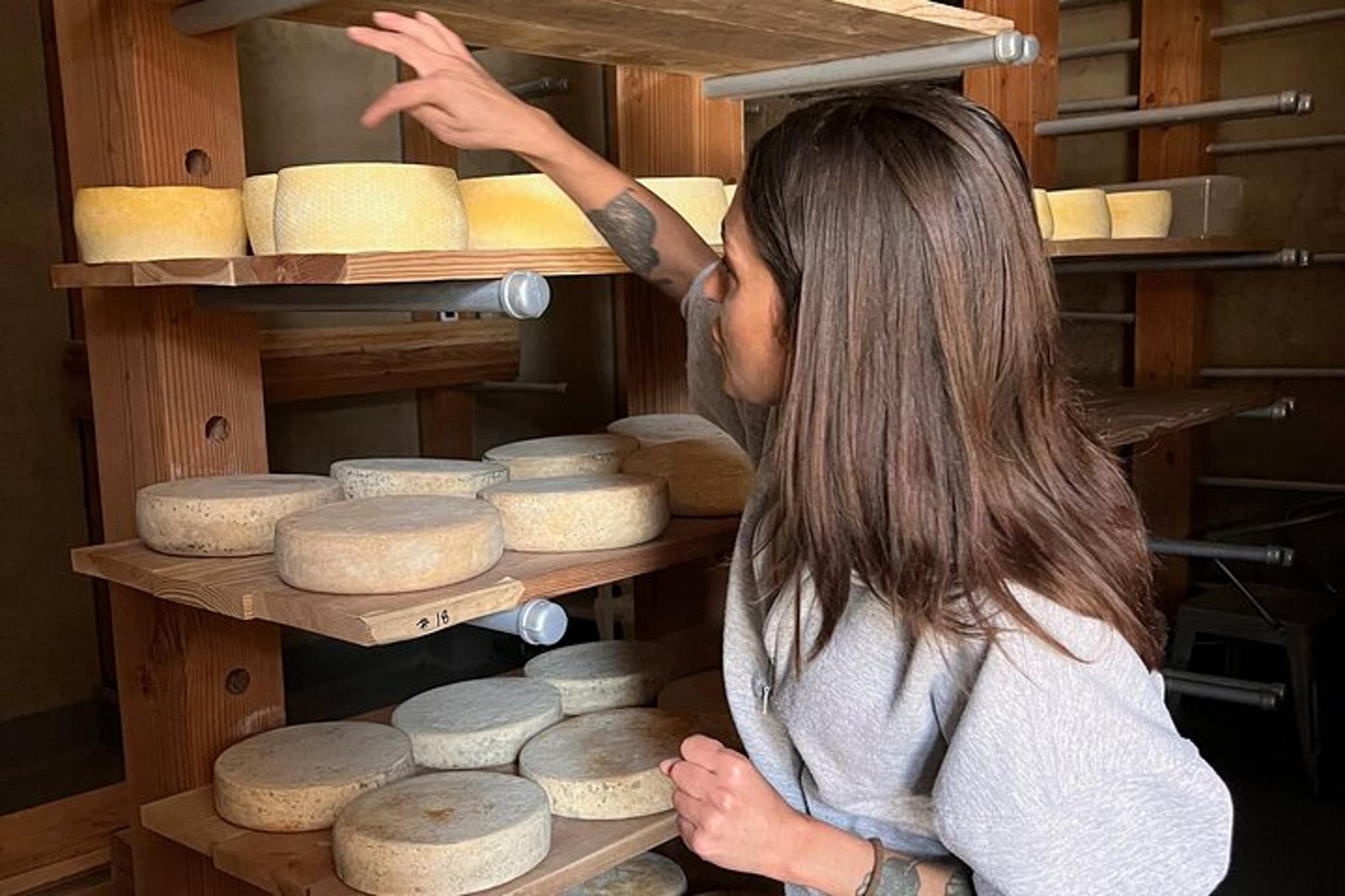 Sonoma County Redwoods and Artisan Picnic Tour - Image 2