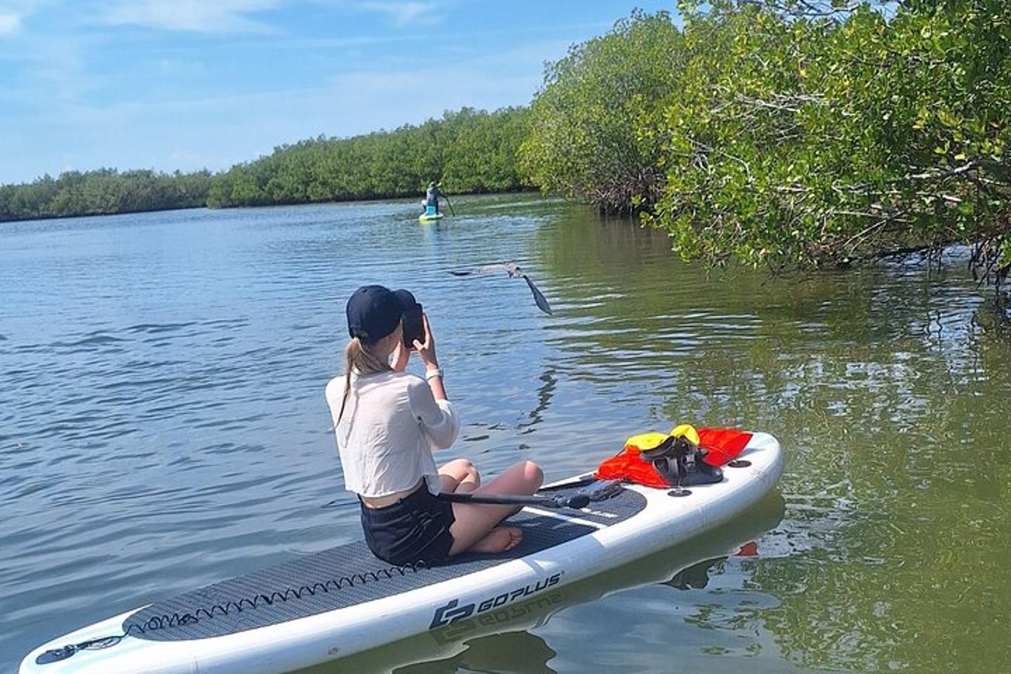 New Smyrna Beach Mangrove Paddle Tour - Image 5