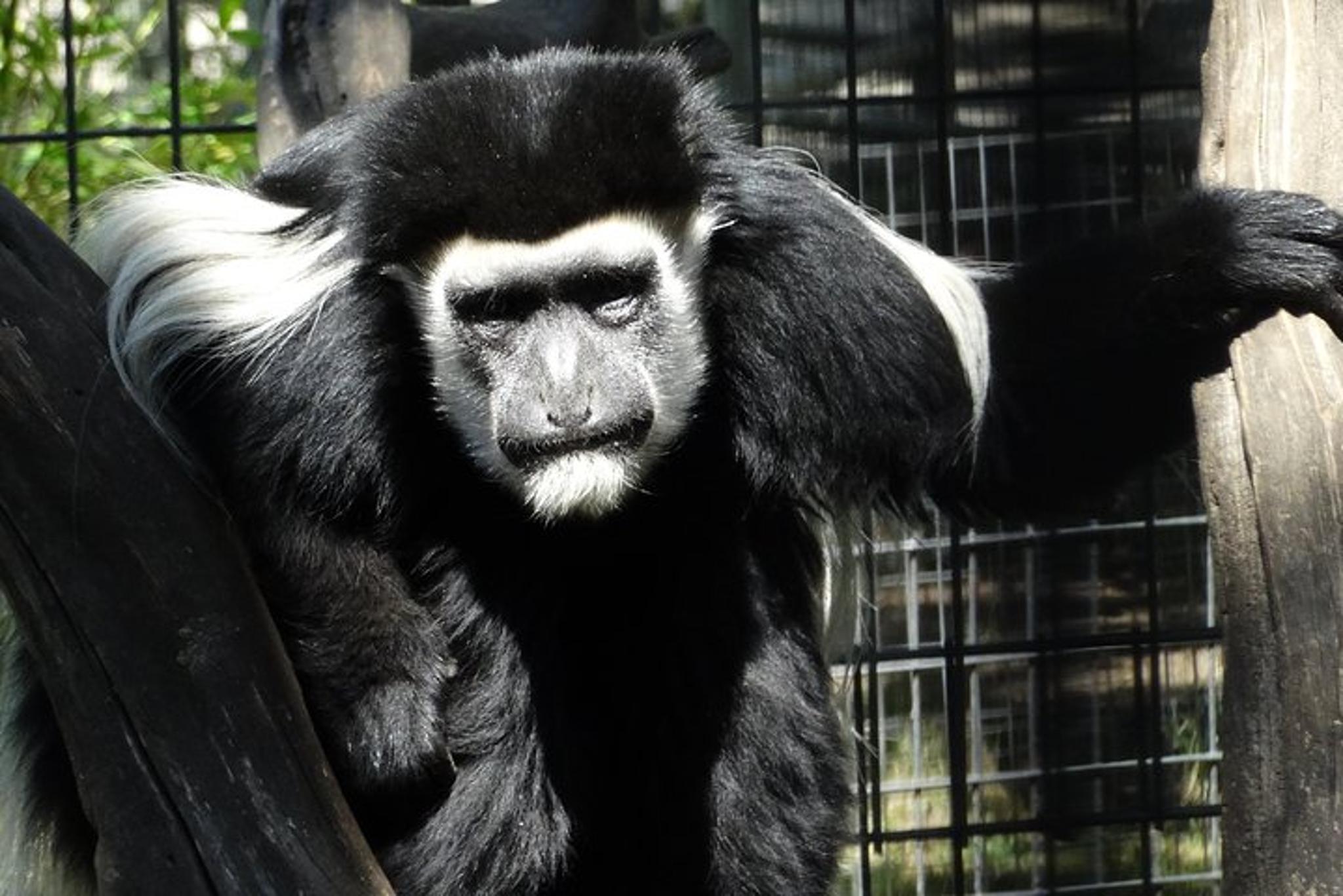Sonoma Safari and Redwoods Private Tour - Image 5