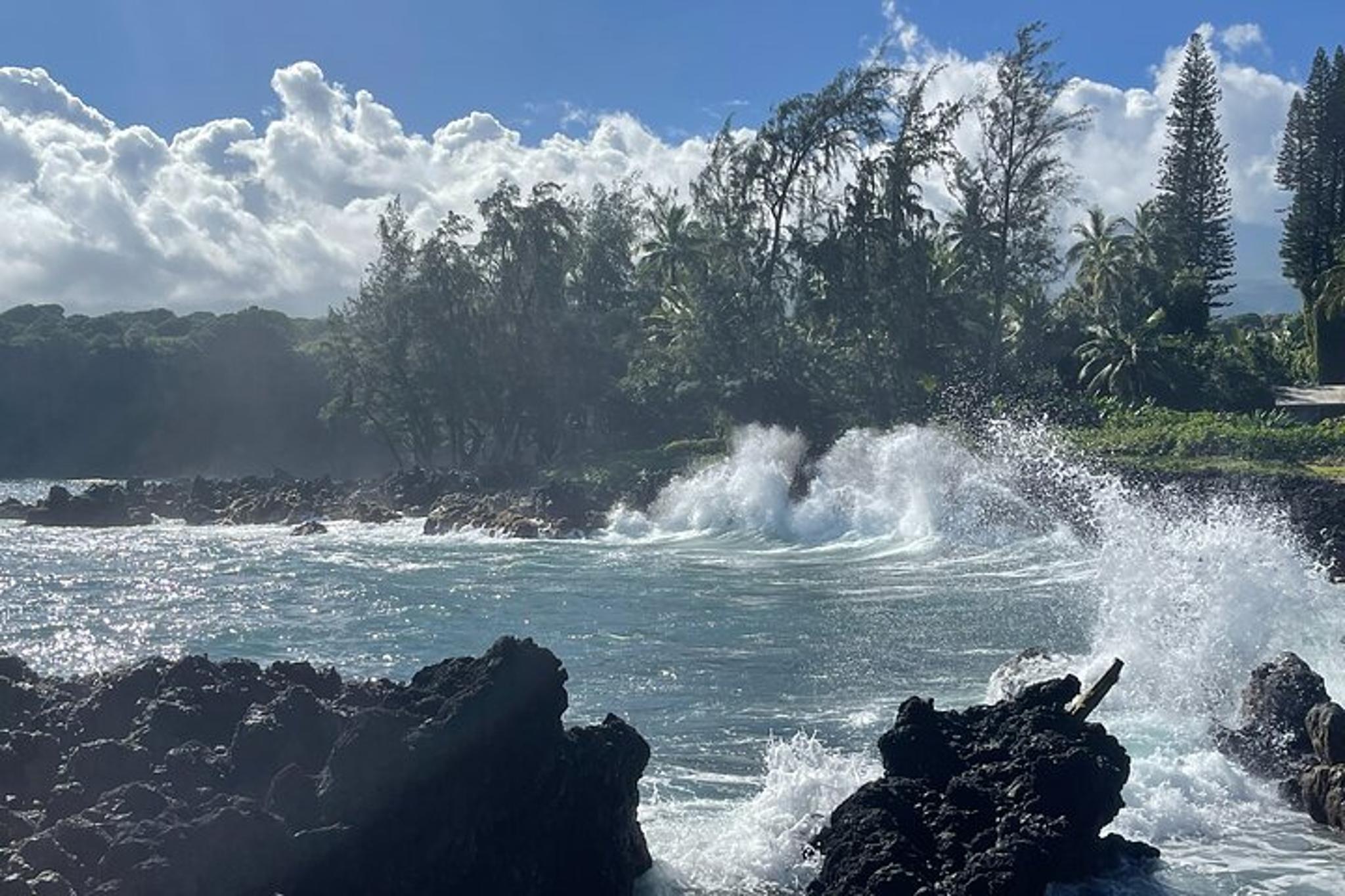 Hana Private Road Tour - Image 2