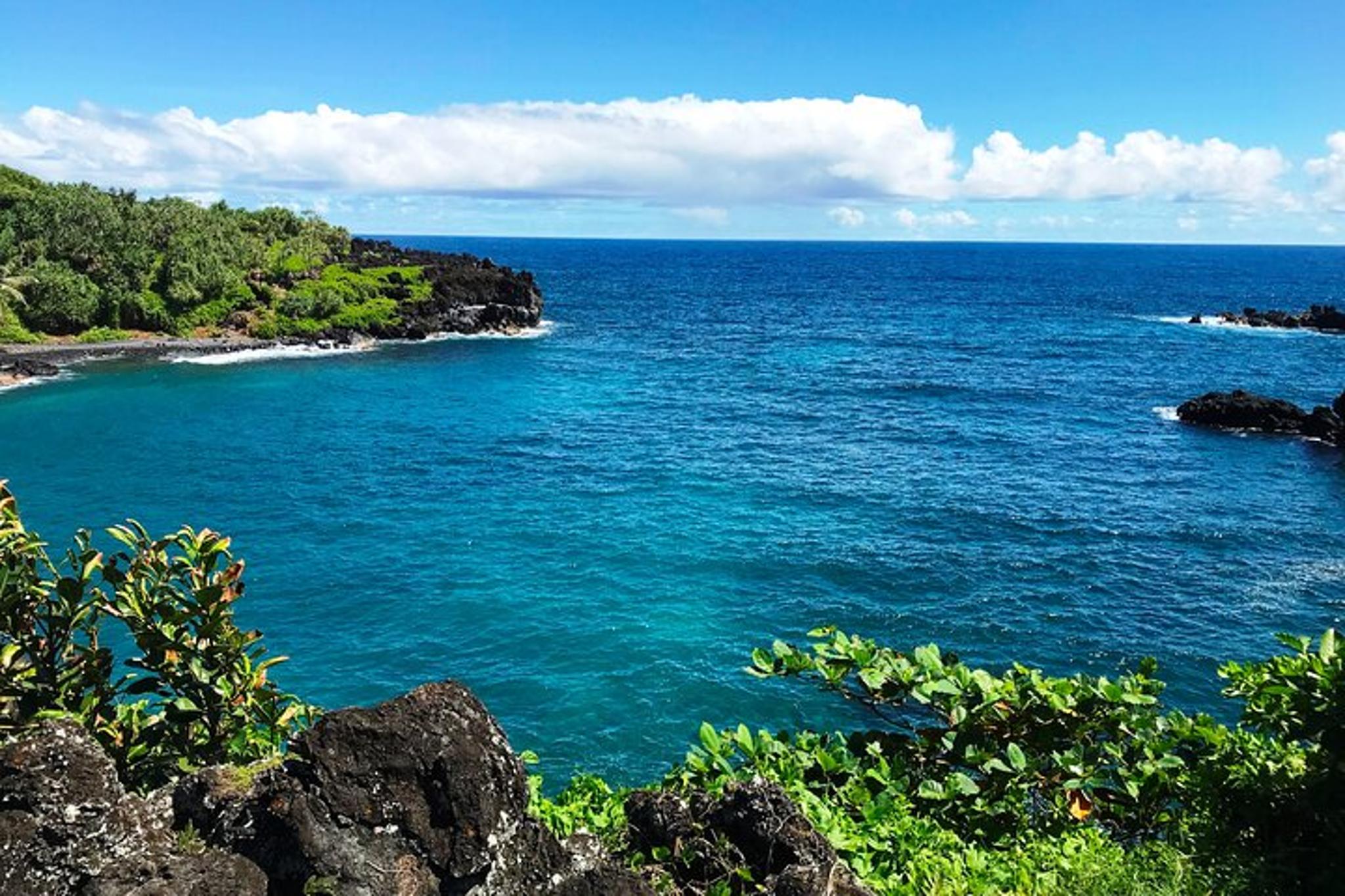 Maui Jungle Tour with Lahaina Pickup - Image 4